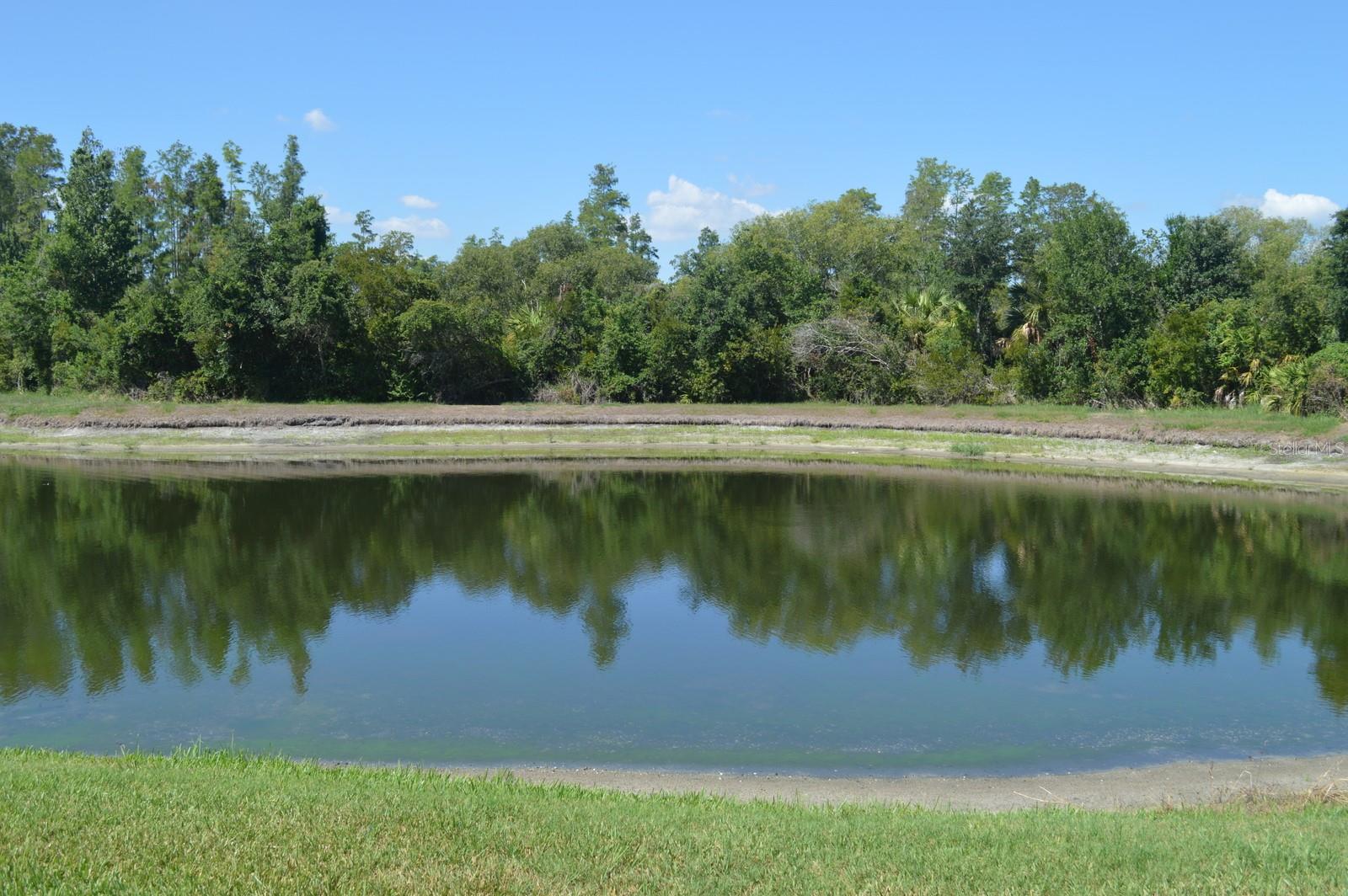 MEADOW POINTE PRCL 12 - Residential