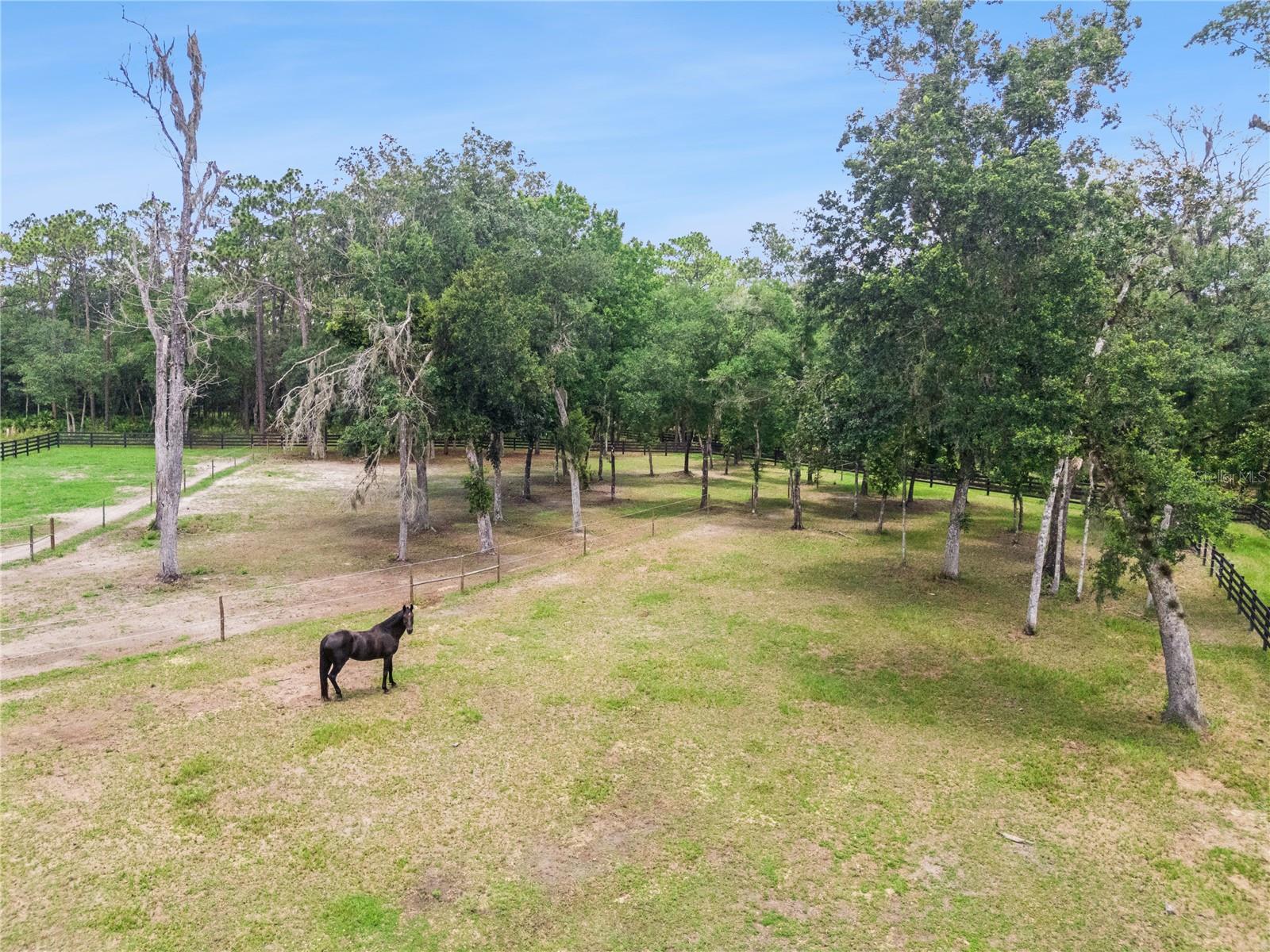 CURRYVILLE WOODS - Residential