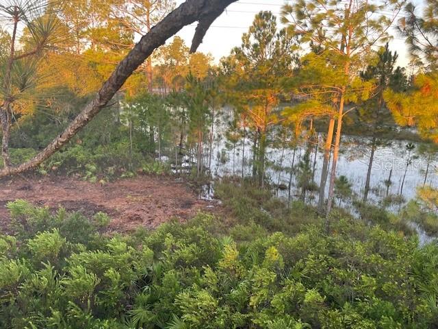 Experience the natural beauty of Old Florida on this expansive 25-acre vacant property, once operated as a nursery and ready for its next chapter. With fertile soil, open clearings, and established natural growth, the land is well-suited for agricultural use, farming, or nursery operations.
A 6-inch electric well is already in place, providing a valuable water source for irrigation and supporting a variety of agricultural needs.
This property is also a haven for wildlife, making it an excellent recreational escape or private hunting retreat. Deer, turkey, hogs and other native species frequent the area, offering a true outdoor experience in a peaceful, secluded setting.
If you’re looking for a versatile piece of land to enjoy the outdoors, hunt, or work the land, this property delivers the space, resources, and natural Florida charm to make it your own.