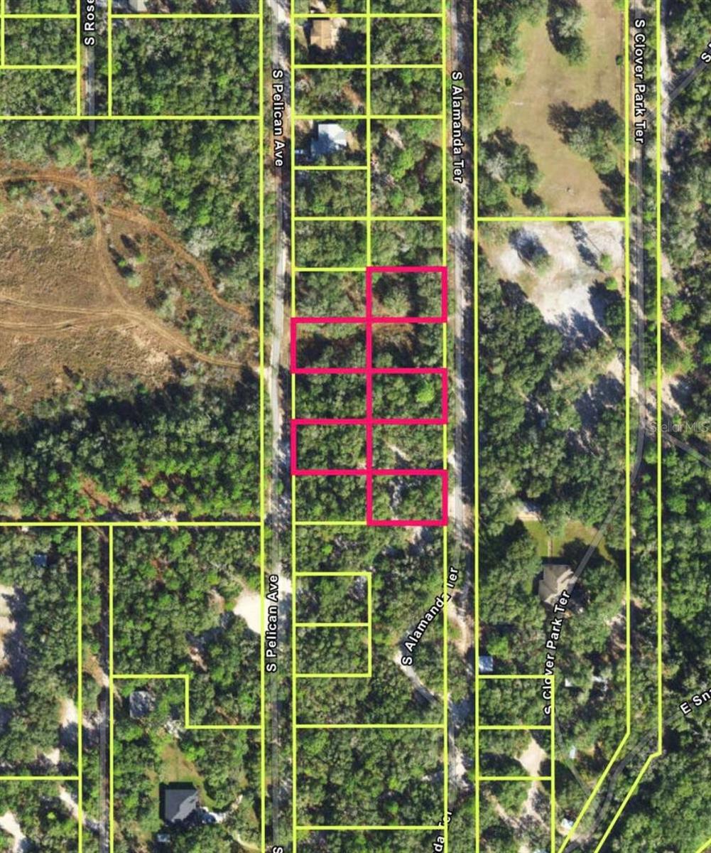 Unique Chess-Pattern Parcels | Total 1.2 Acres Combined

Rare opportunity to own five interesting “chess-pattern” parcels, totaling approximately 1.2 acres. The lots are wooded and natural, offering privacy and flexibility for future plans.

This listing includes all five parcels. The lots are grouped together for tax purposes, so the current tax amount reflects the total for all five properties.

Zoned CLR, allowing for your site-built home with no HOA and no deed restrictions. Whether you’re looking to build now, hold as an investment, create additional privacy, or explore future development potential, this is a versatile opportunity.

Please note: Approximately half of the parcels are partially located in a flood zone. Buyers are encouraged to conduct their due diligence regarding building plans and flood requirements.

Enjoy peaceful country living while still being conveniently close to everyday amenities. Outdoor enthusiasts will love the short drive to Rainbow River State Park, Crystal River, and the Gulf of Mexico. Plus, Orlando’s world-famous attractions and Tampa are easily accessible for day trips or weekend getaways.

Affordable Florida living with room to grow — build your vision here.