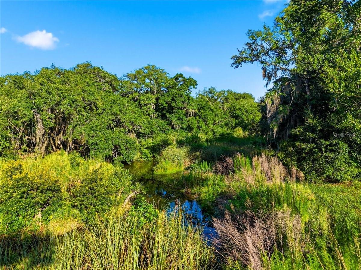 MIAMI GREEN VLY - Land