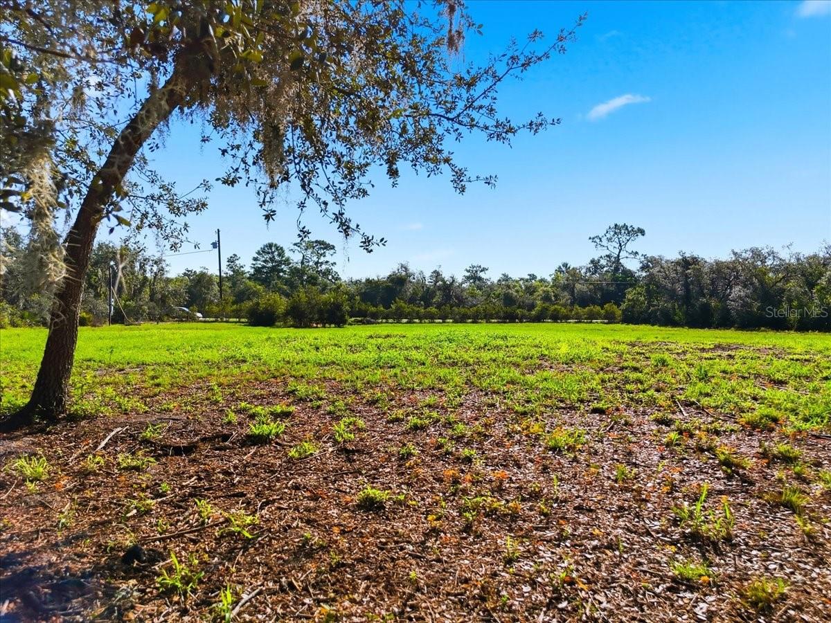 MIAMI GREEN VLY - Land