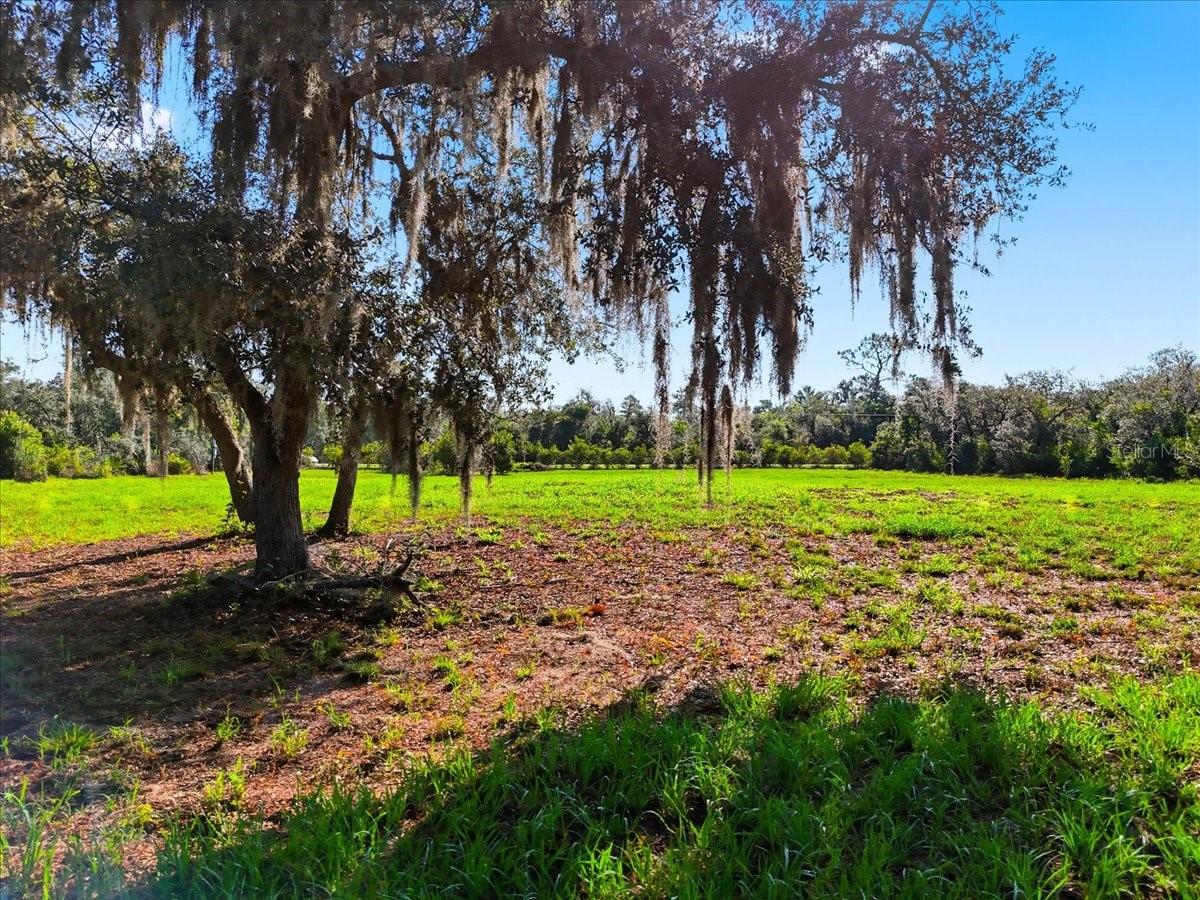 MIAMI GREEN VLY - Land