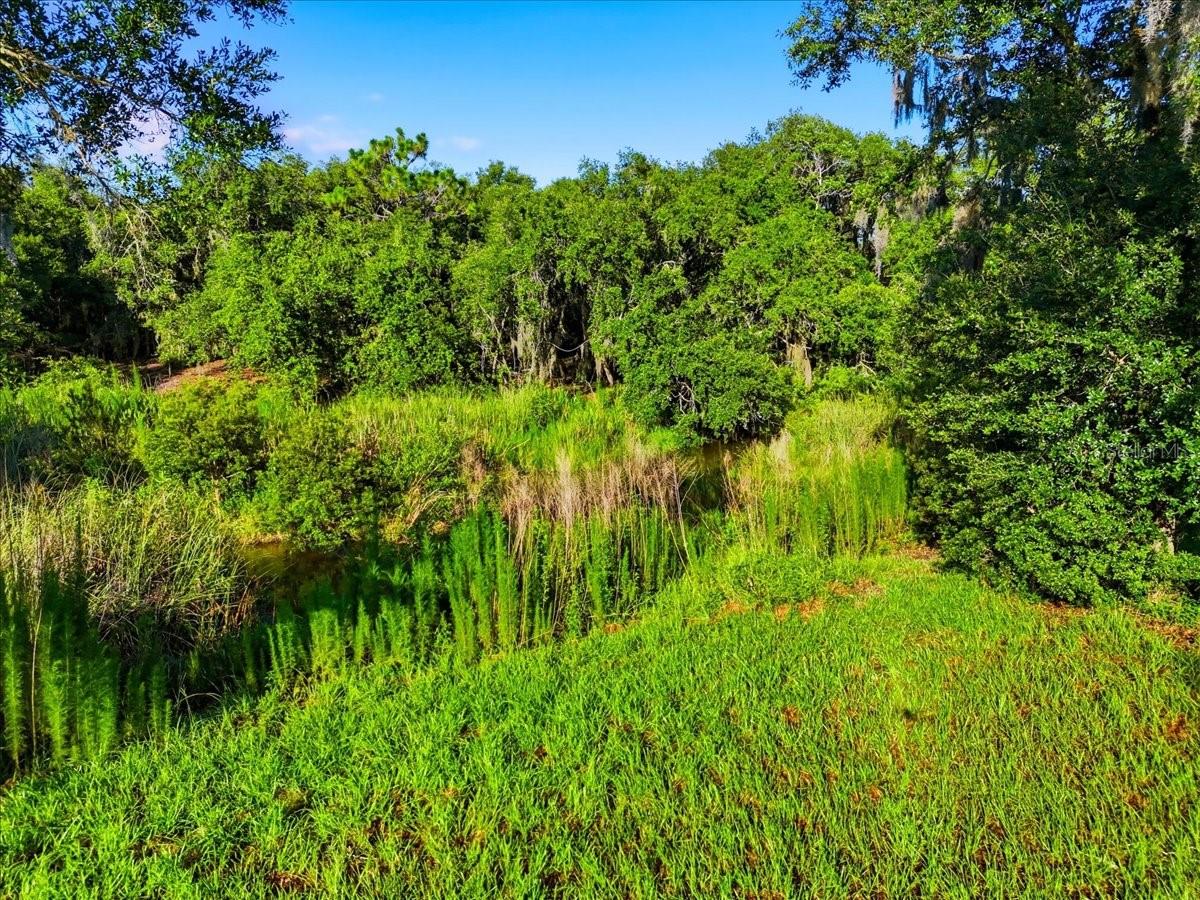 MIAMI GREEN VLY - Land