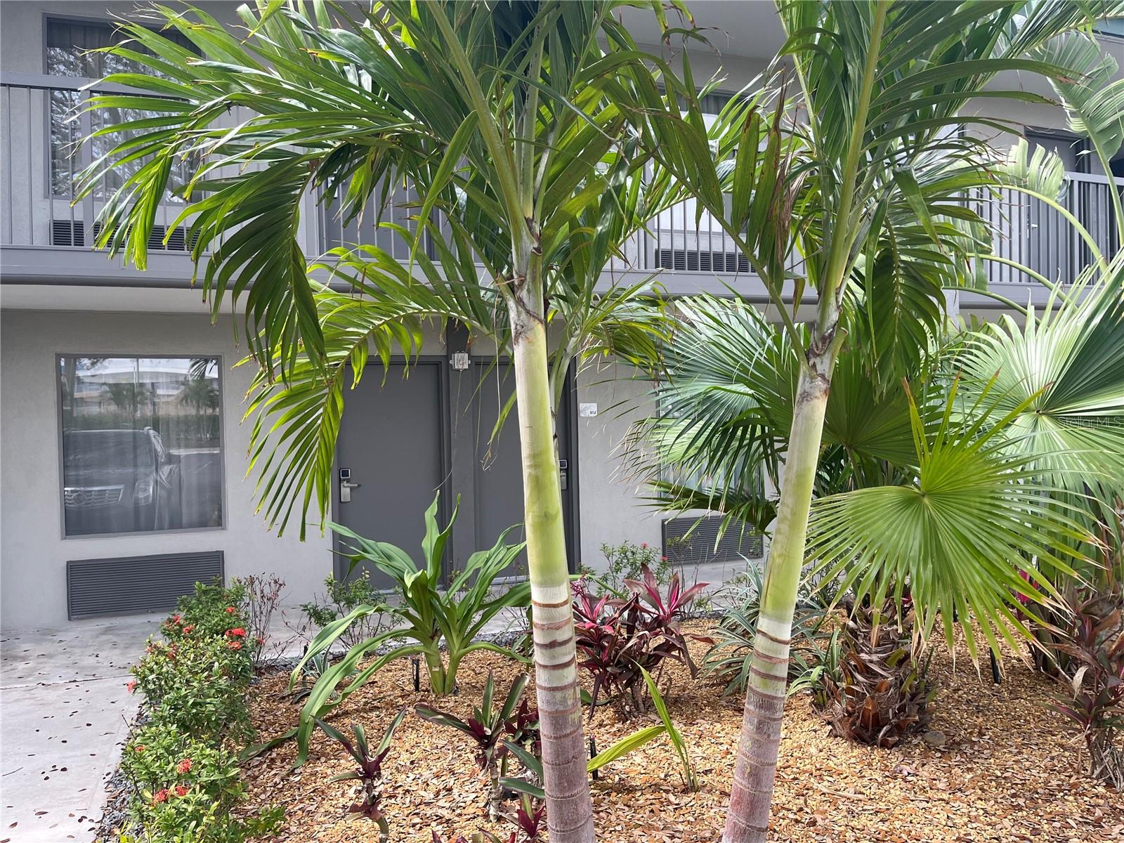 $20,000 PRICE ADJUSTMENT....updated first-level condo at the Sarasota Cay Club!  This unit offers easy hotel access and season bookings.  Featuring brand new flooring, new A/C, fresh paint and modern furnishings, this unit is located within the Ramada by Wyndham Sarasota Waterfront Resort.  The condo is perfect for short-term rentals with no minimum leasing restrictions, allowing you to use it for your own vacations and earning rental income during the rest of the year.   Enjoy the hotel amenities including a remodeled onsite restaurant and tiki bar, heated waterfront pool, fitness room, roaming security, and community laundry. Ideally located near some of the country’s best beaches—Siesta Key, Holmes Beach, Coquina, and Lido—plus close to Sarasota/Bradenton Airport. Monthly HOA fees cover electric, water, internet, cable, sewer, and trash.
Seller also owns unit 512 next door which is also for sale #A641756....you can "wrap up" two!