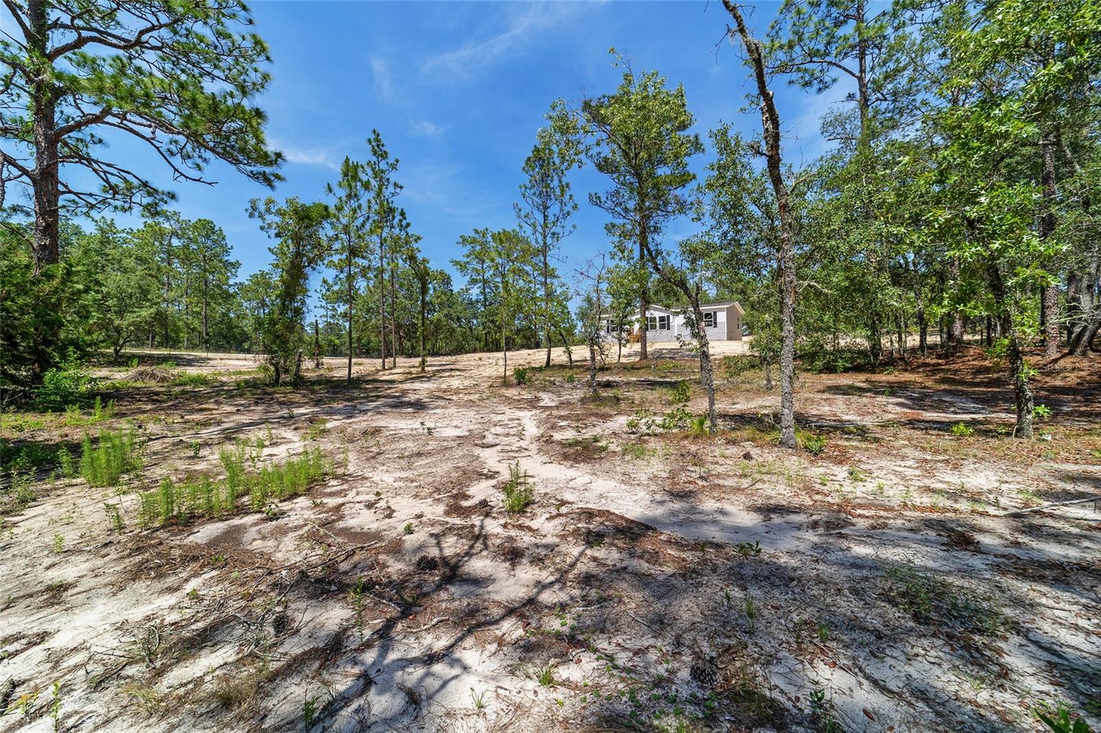 WILISTON HLNDS - Residential
