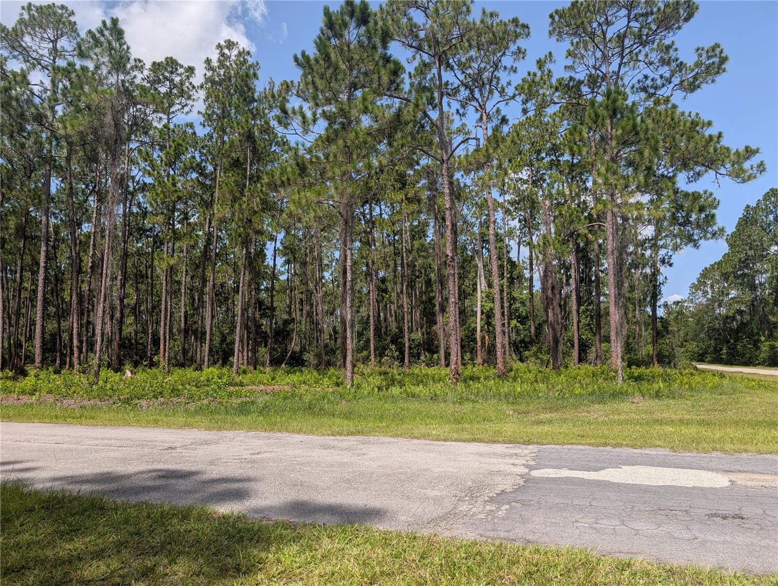 INDIAN LAKE ESTATES - Land