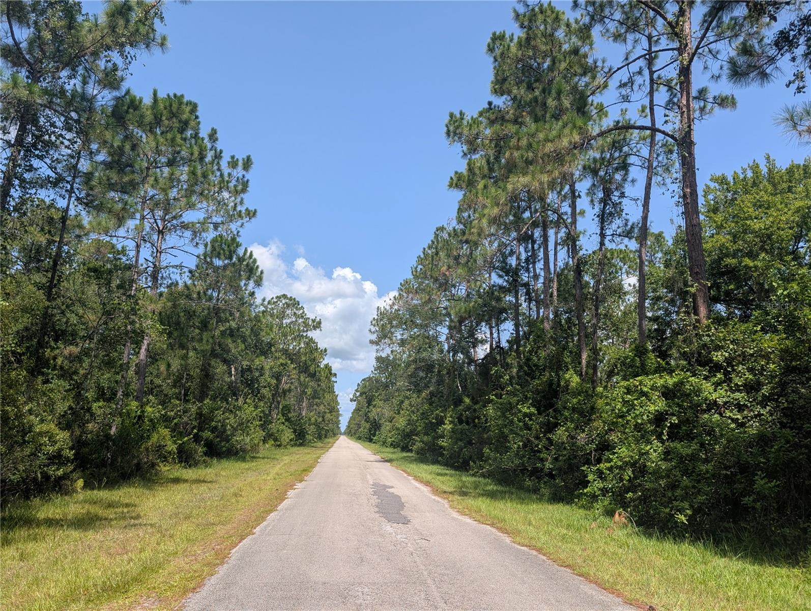 INDIAN LAKE ESTATES - Land