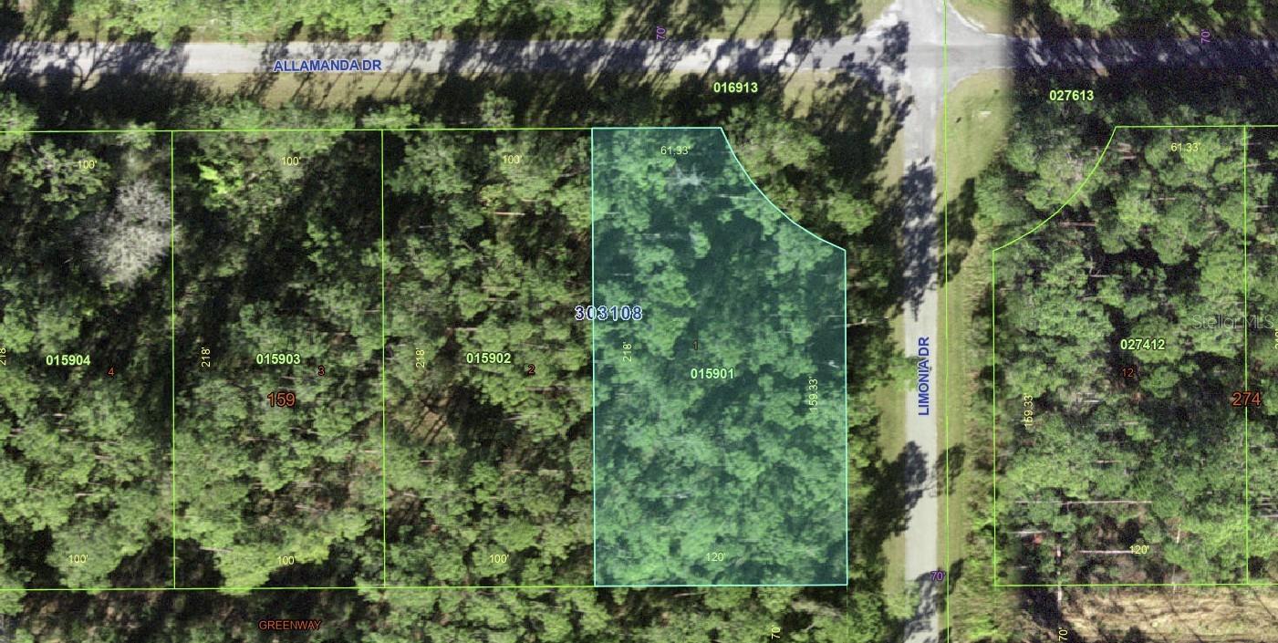 INDIAN LAKE ESTATES - Land