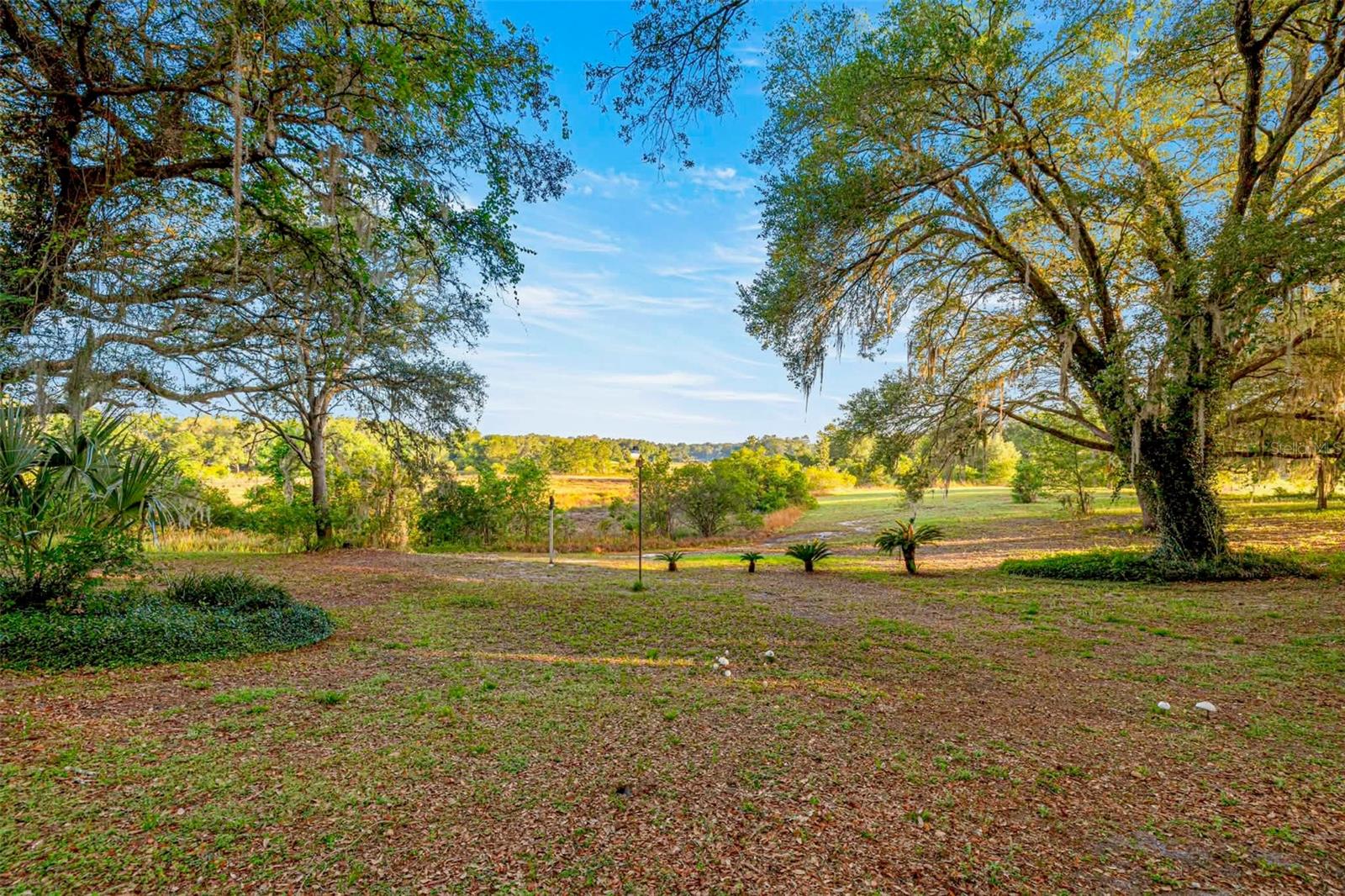 WOODS & LAKES - Residential