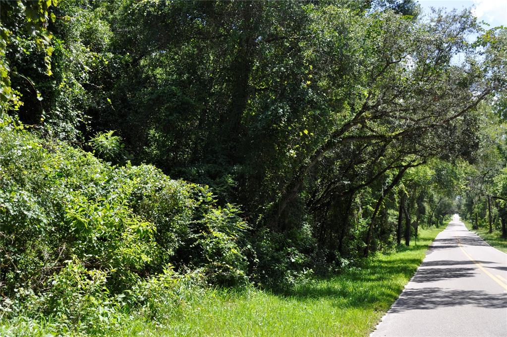 Oak Hammock Reserve is a residential development that is fully approved, permitted, and shovel-ready. Construction can start immediately.  The site is located in a pleasant residential area on the southwest side and within the city limits of Deland.  Everything is ready to go for the development of 110 single-family home lots.  Utilities are available at the site. 

Average Lot size-50 and 60 feet wide and 115 feet deep

About 10 minutes to I-4.

Site plan has been approved