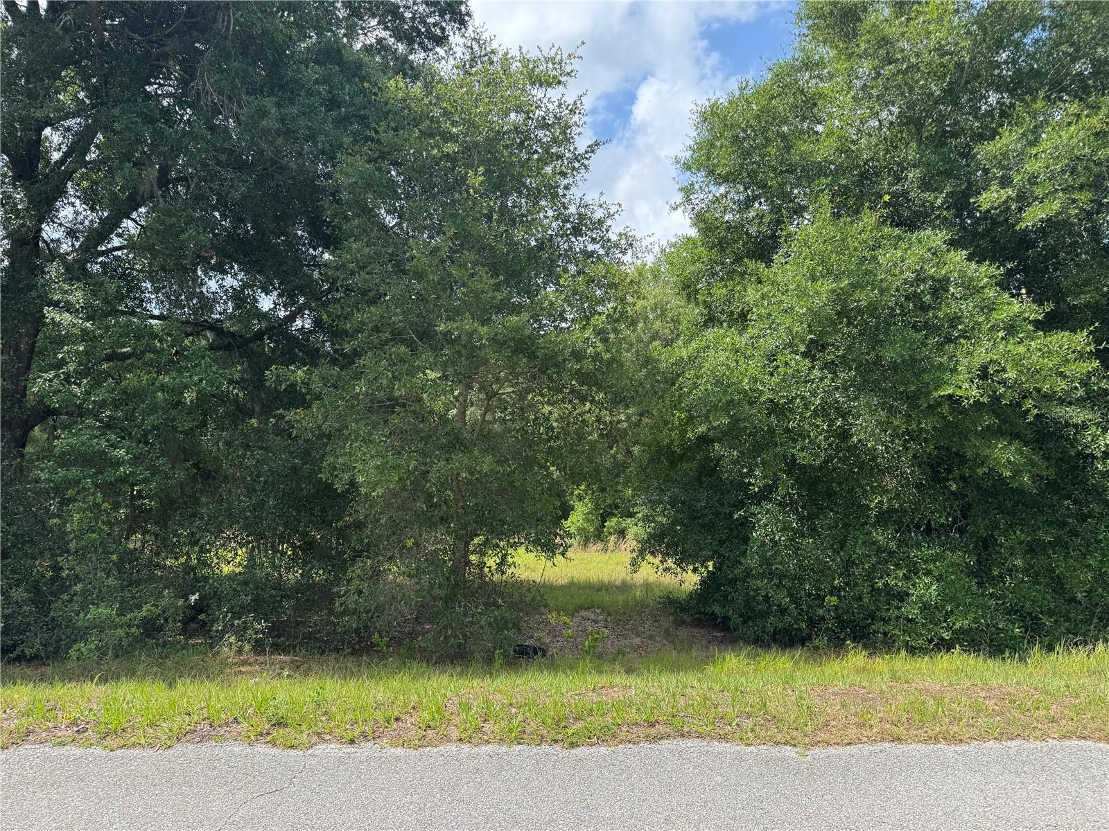 Bring your own builder!! Beautiful lot available for the dream home you've always envisioned. Nestled in a serene and quiet setting, this spacious lot, just shy of 1 acre, offers the perfect blend of privacy, peace and opportunity. Whether you're dreaming of a custom estate, a cozy retreat, or a modern farmhouse, there's plenty of room to design to your heart's content. Buyer and/or Buyer's Agent to verify that all information within this listing is accurate by contacting the governing municipality's development department.
