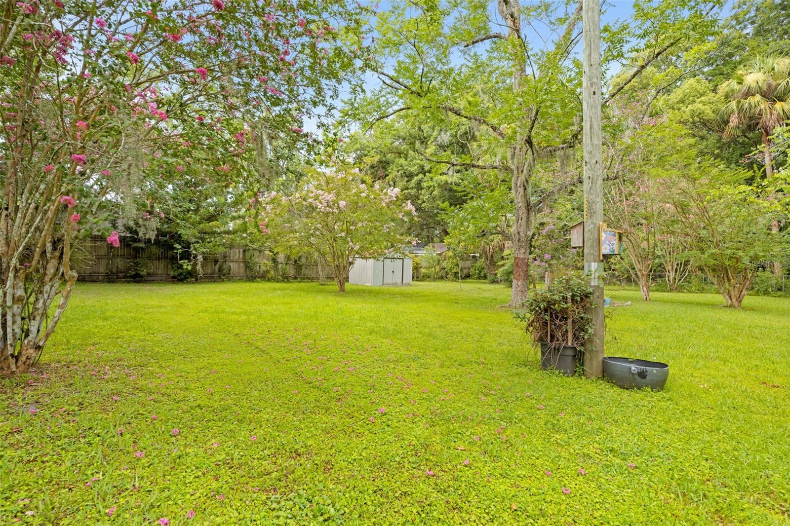 MOUNTAIN PARK - Residential