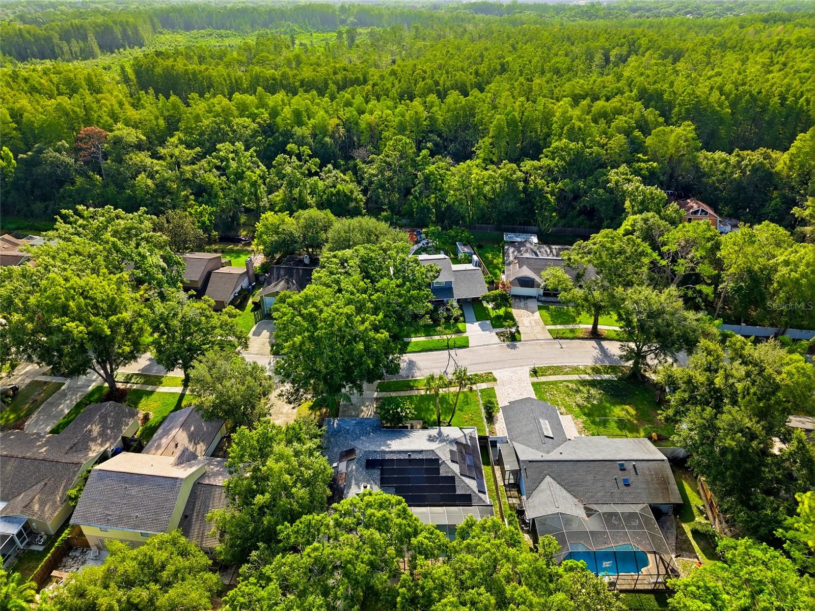 HAMPTON VILLAGE - Residential