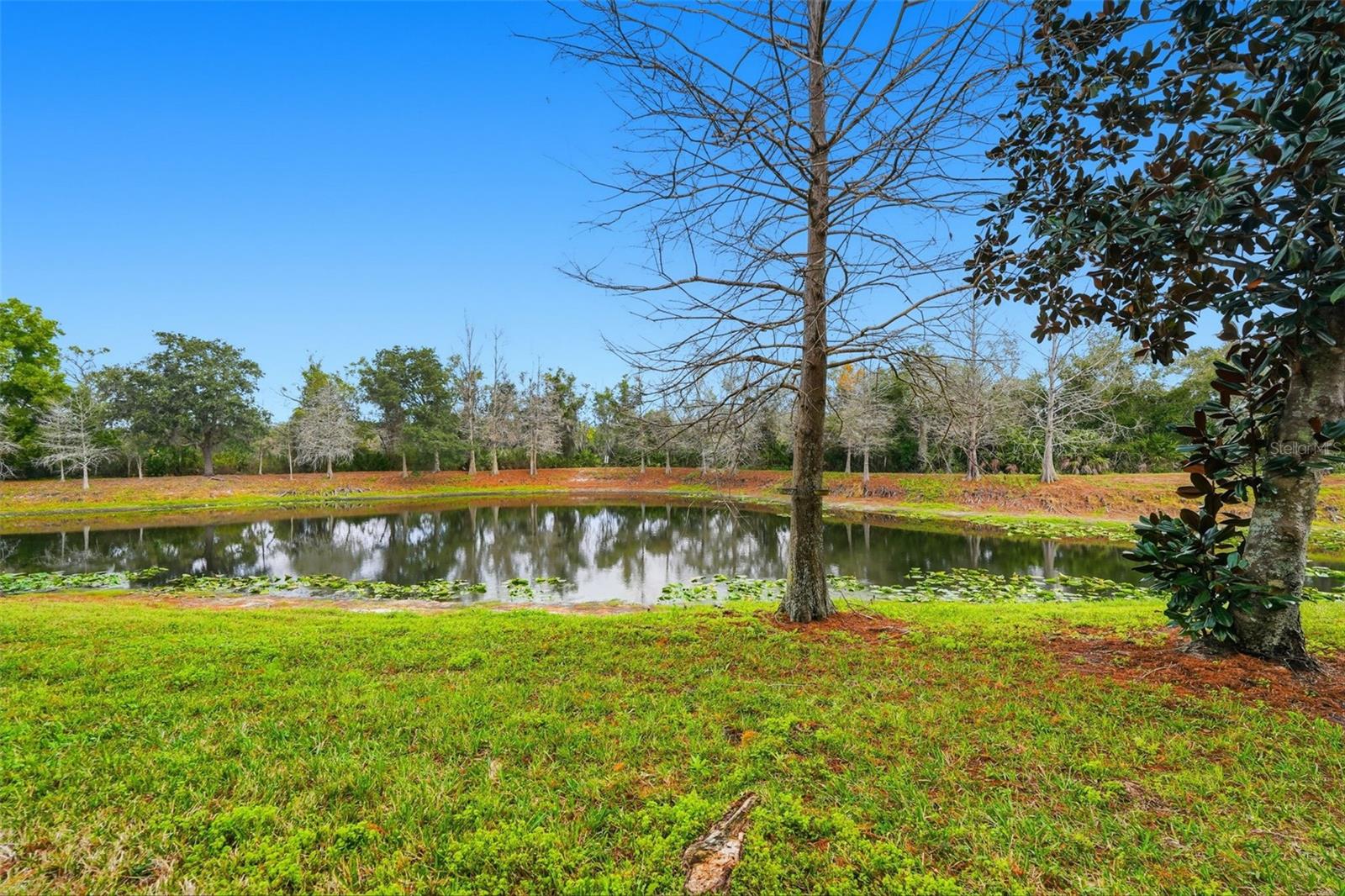 WILLOWBROOK PH 9 - Residential