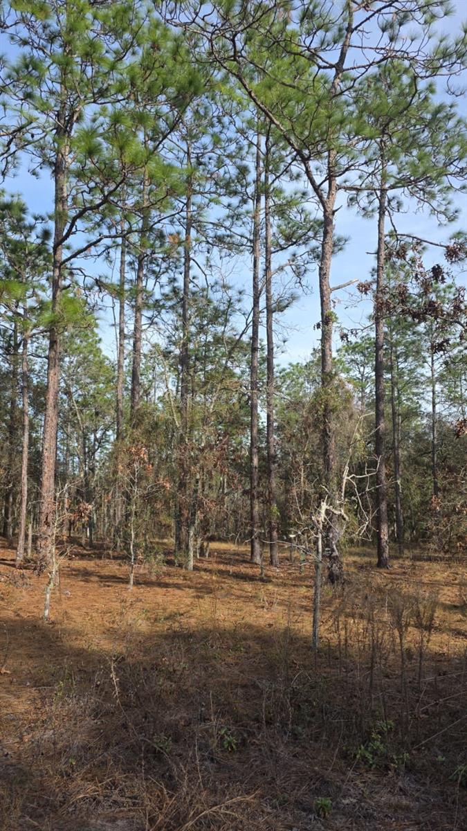 RAINBOW LAKES ESTATE - Land