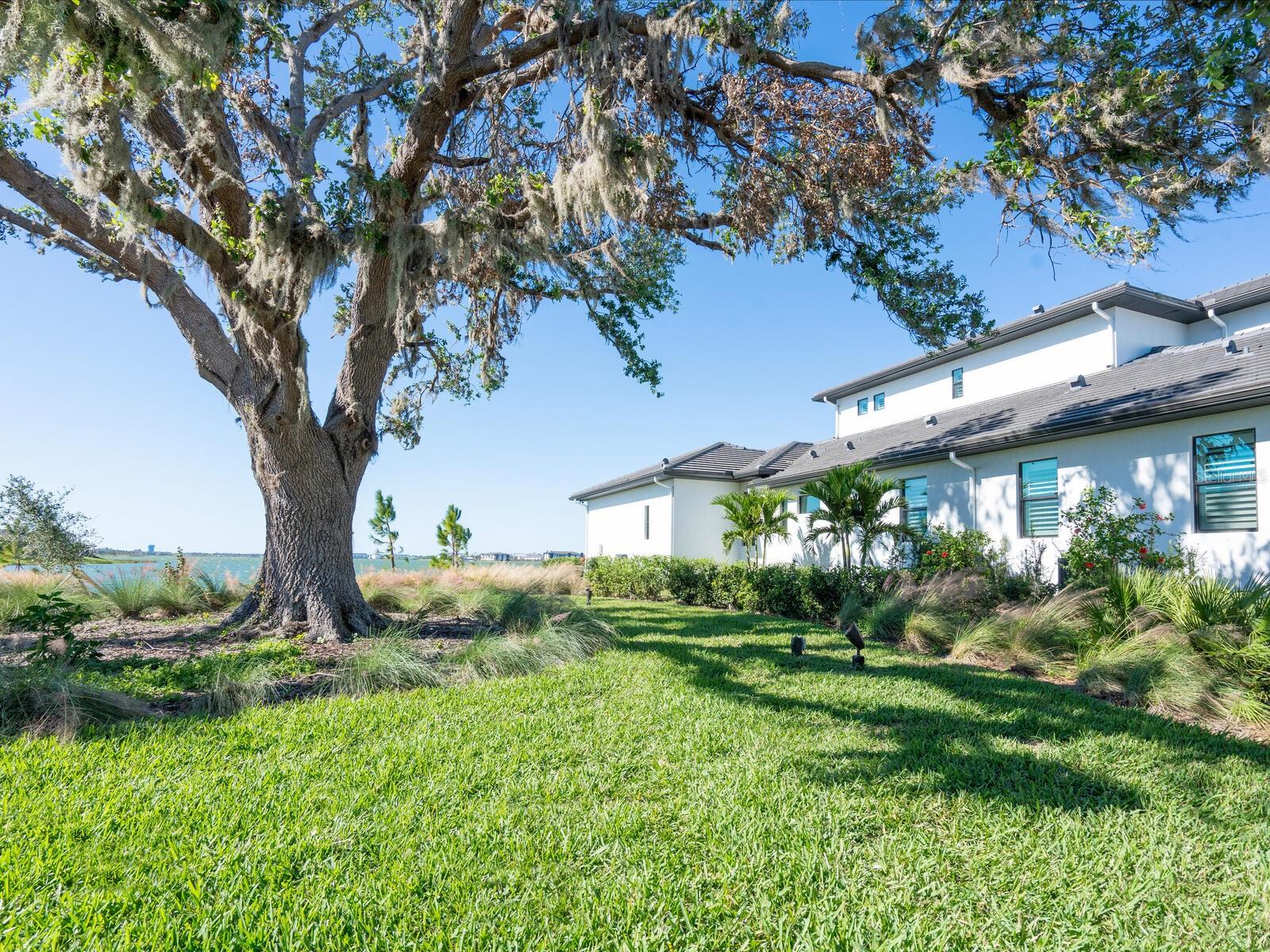 LAKEHOUSE COVE/WATERSIDE PH 5 - Residential