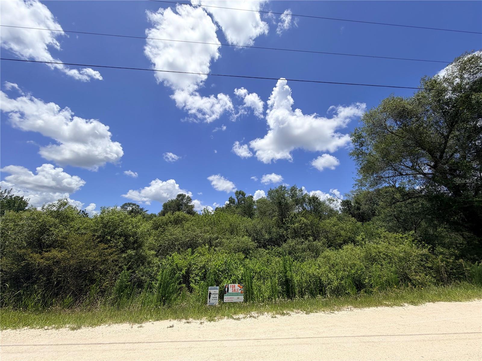 RIDGE MANOR ESTATE - Land