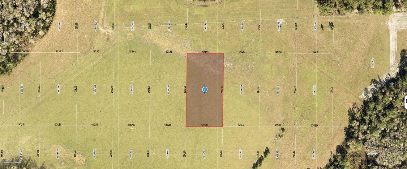 Presenting a 1.25-acre vacant  lot along SR-33 in Clermont, Florida (34714). This generously sized parcel offers an excellent opportunity to build a custom spot with plenty of space for outdoor living, gardens, or recreational areas. Located in a convenient area with easy access to schools, shopping, dining, and major roadways. Ideal for  investors, this property provides flexibility and potential in one of Central Florida’s desirable communities. Pin Location: Latitude 28.40036173, Longitude -81.81836609. Note: buyers I emphasize the importance of conducting thorough due diligence to ensure that the property meets your expectations and requirements.