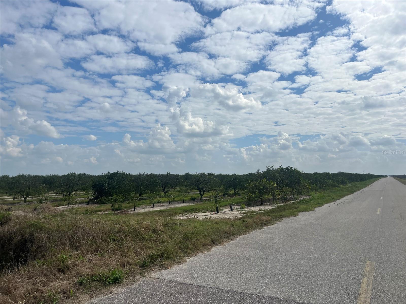 This offering consists of approximately 140 acres, comprised of 14 contiguous 10 acre parcels.  Each parcel is legally separate and is divided by a shared drainage ditch. The seller is willing to sell the property in individual 10 acre parcels, provided the sales begin with the easternmost parcel and continue in sequence from east to west.  Individual 10 acre parcels are offered at $85,000 each.  
Please contact listing agent for the parcel availability map and additional details.  

The 140 acres of agricultural land are zoned A-10, featuring 1,320 feet of frontage on an asphalt road and located within the Joshua Grove Water District near Arcadia. Formerly operated as orange groves, this property is being offered strictly for land value, with no value attributed to the existing citrus trees or irrigation system currently on site.

Each parcel of the property is bordered by freshwater canals utilized for drainage by the Joshua Water Management District. In addition to citrus production, the land offers a range of agricultural possibilities and may be suitable for crops, livestock, or other farming operations depending on the buyer’s intended use. Irrigation wells may potentially be installed subject to proper authorization and permit approval.

Please note that this property is not zoned for residential homes, as it is located away from existing development, schools, public utilities, and major infrastructure. Buyers are strongly encouraged to contact the DeSoto County Building and Zoning Department directly to verify zoning regulations, permitted uses, and any development restrictions.

All information is believed to be accurate but is not guaranteed by the owner or listing broker.