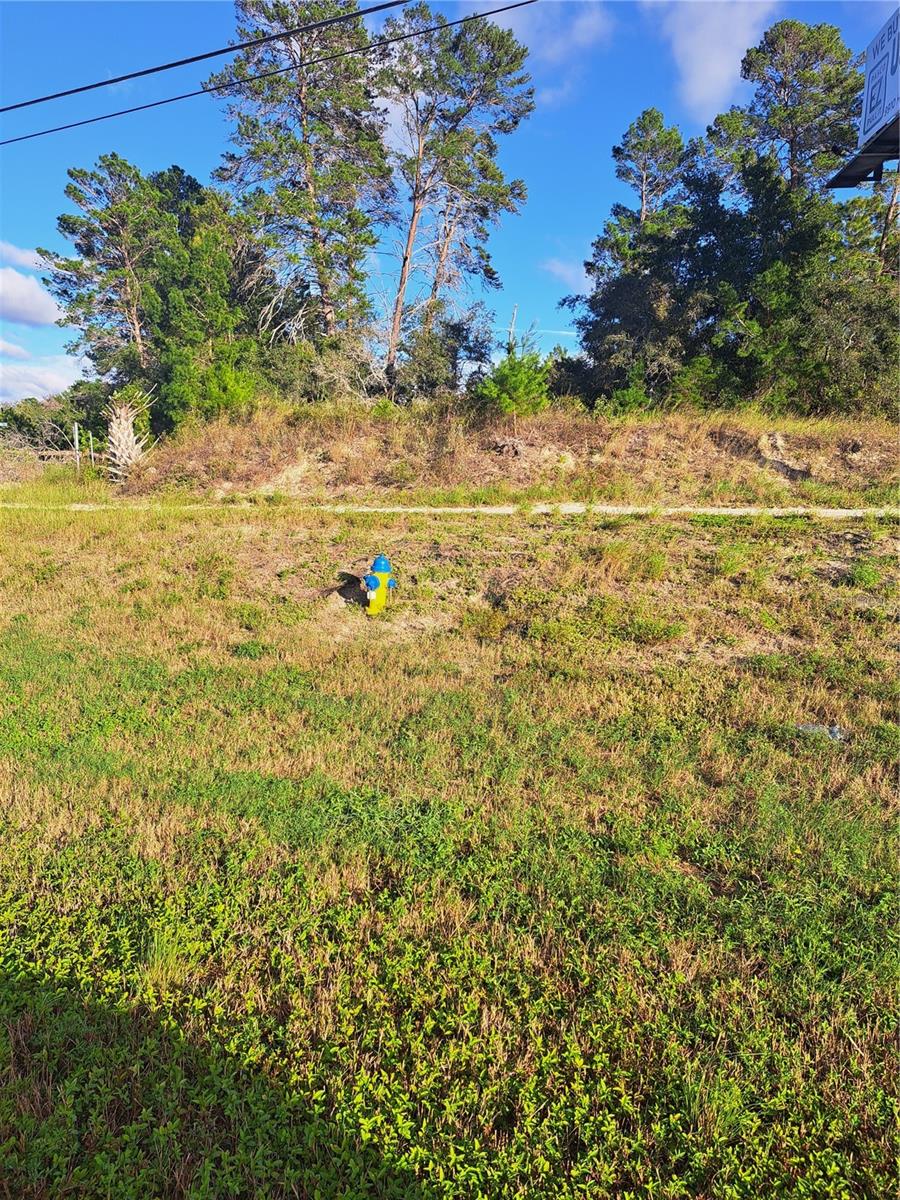This 9.03 Acres (MOL) has lots of uses under C-2 and C-3 zoning , Great Location for development . property has Billboard Sign income , has lots of possibilities , has great potential ,for Commerical uses light and heavy, great for Apartments/Multi-Family !!