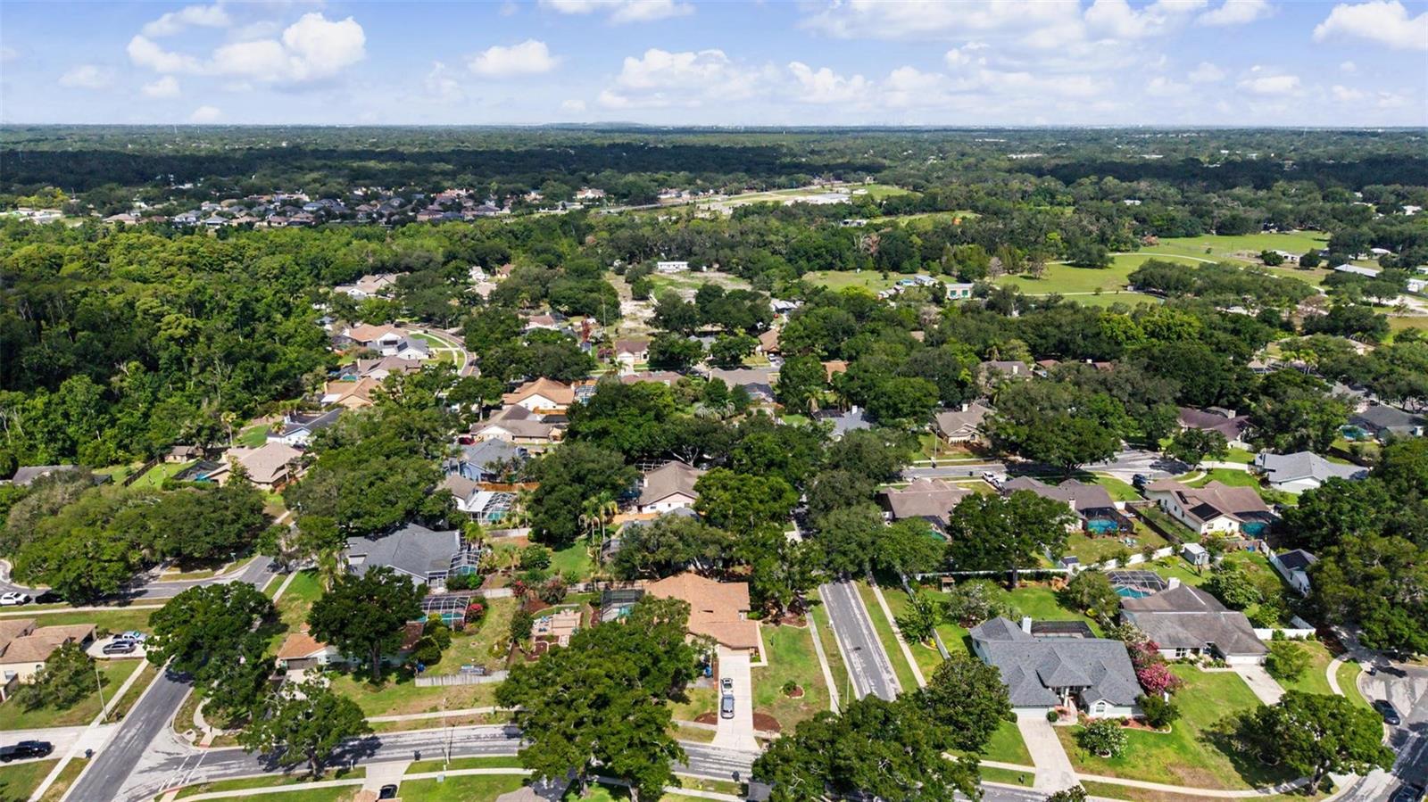 LITHIA RIDGE PH I - Residential