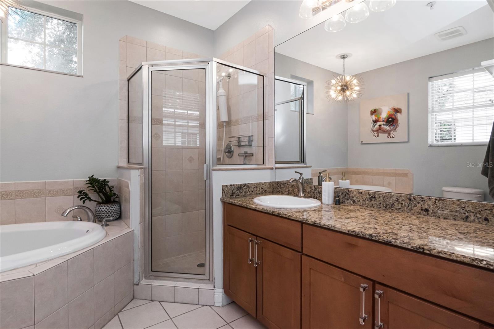 ALCAZAR CONDO - Residential
