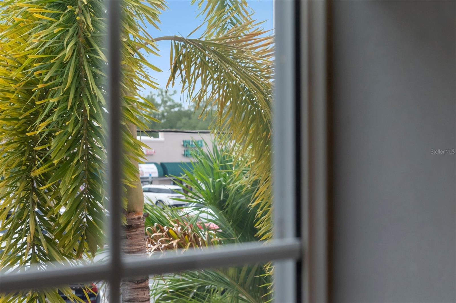 ALCAZAR CONDO - Residential