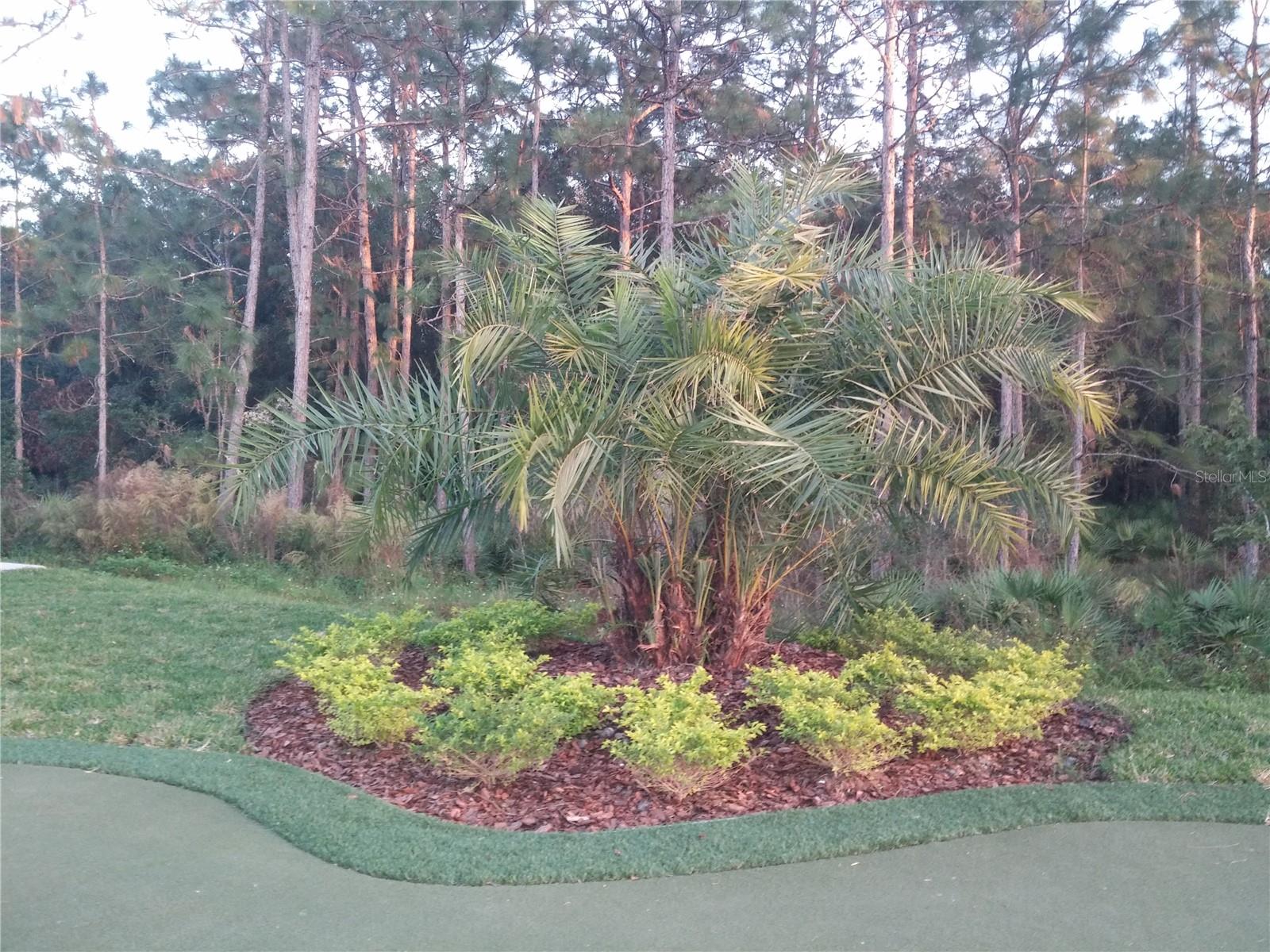 LIVE OAK PRESERVE PH 1C VILLAGE - Residential Lease