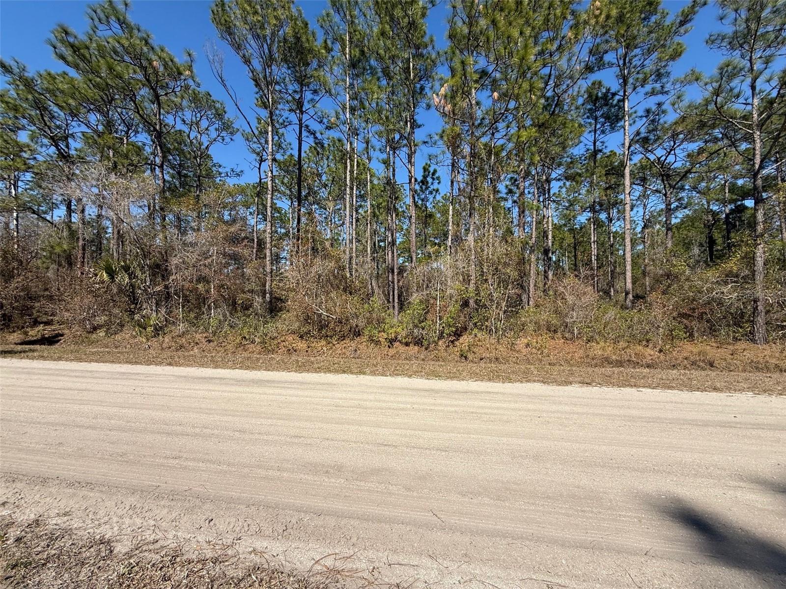DAYTONA NORTH SUB - Land