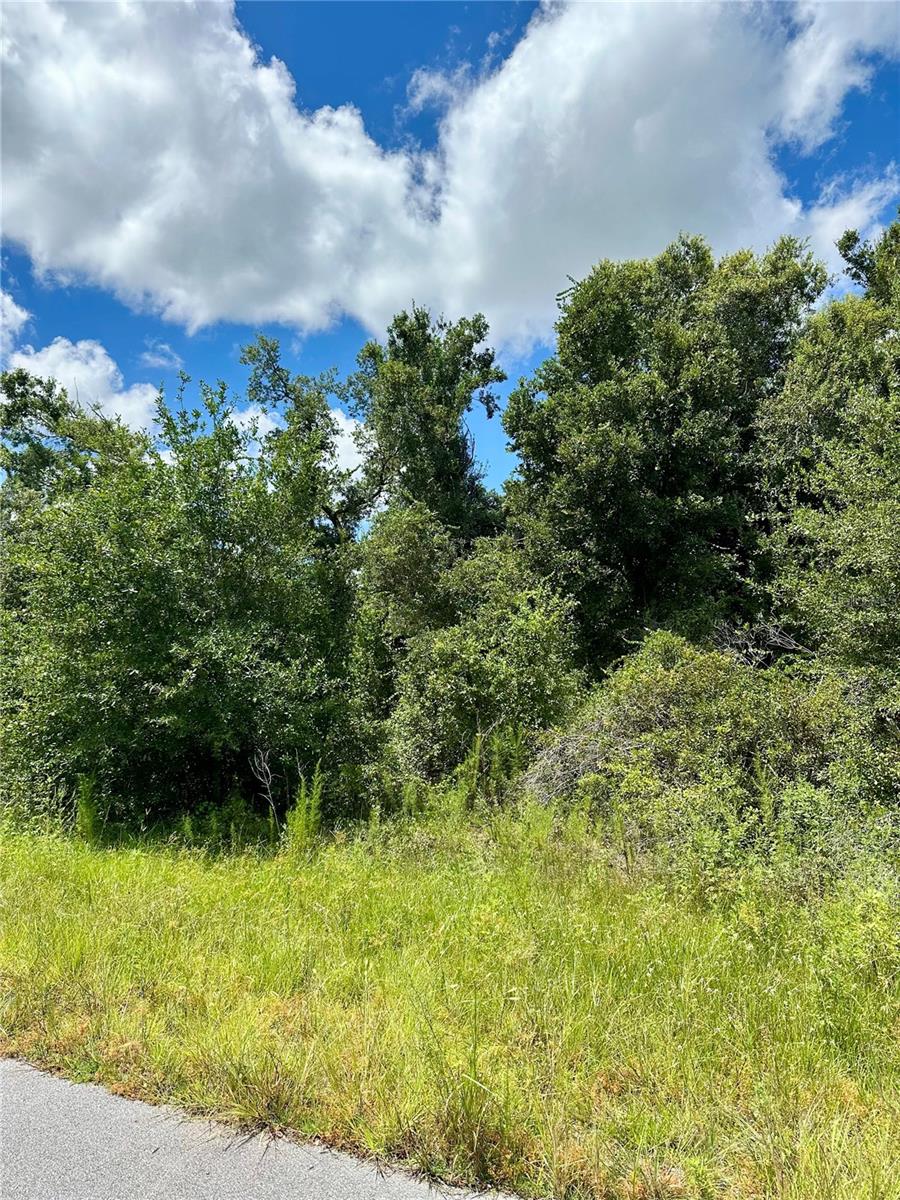 Build Your Dream Home in Fastest Growing City of N. Port!
Discover this private vacant LOT tucked away on quiet street, backing up to a greenbelt for extra privacy and scenic views. No Flood Zone - piece of mind for years to come! Conveniently located just minutes away from I-75, Warm Mineral Springs, shopping, dining and Golf Coast beaches.