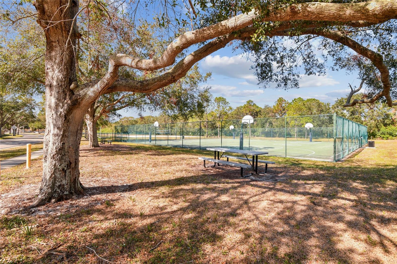 COUNTRYWAY PRCL B TRCT 21 PH 2 - Residential Lease