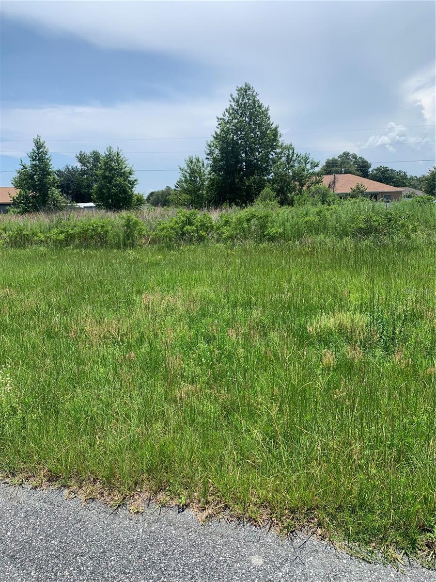 MARION OAKS UNIT 7 - Land