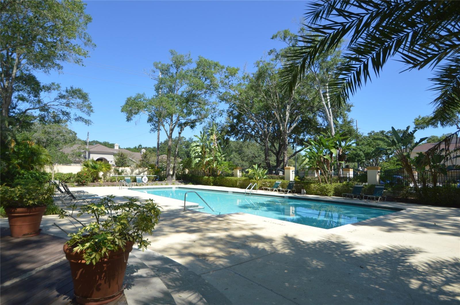 THE PINNACLE AT CARROLLWOOD A - Residential Lease