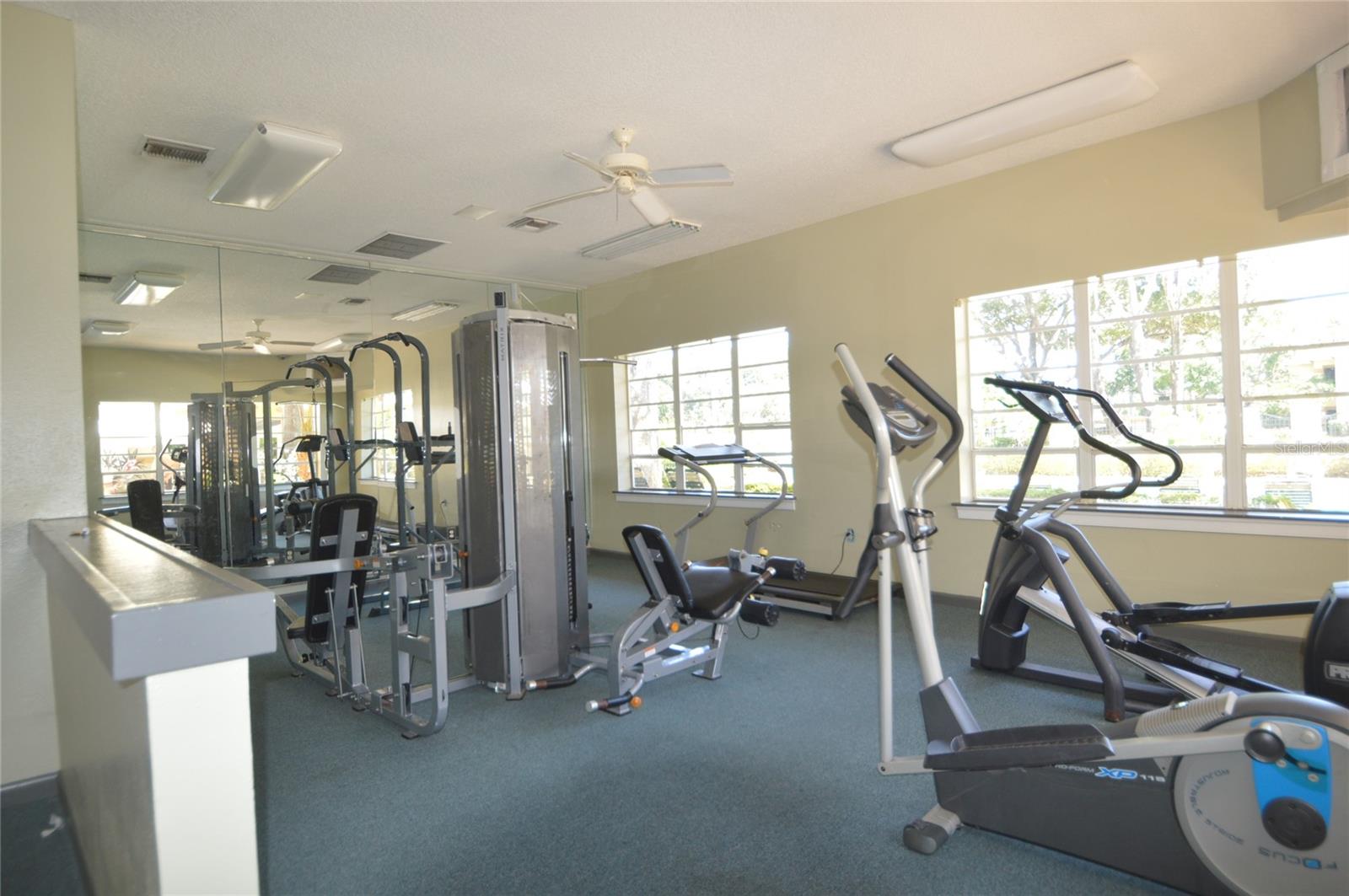 THE PINNACLE AT CARROLLWOOD A - Residential Lease