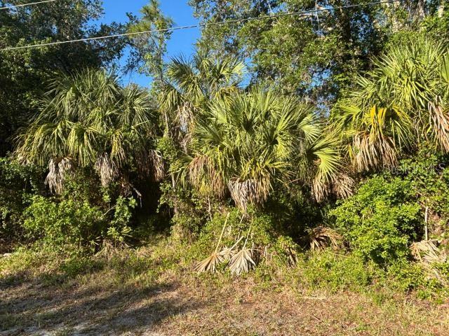 Double sized lot where your dreams and budget can finally come together. Untouched lot leaves possibilities open. Developing neighborhood with no HOA or other encumbrances. Just minutes from the open water, Orange Hammock Wildlife Preserve and RV Griffin Reserve. Motivated Seller.