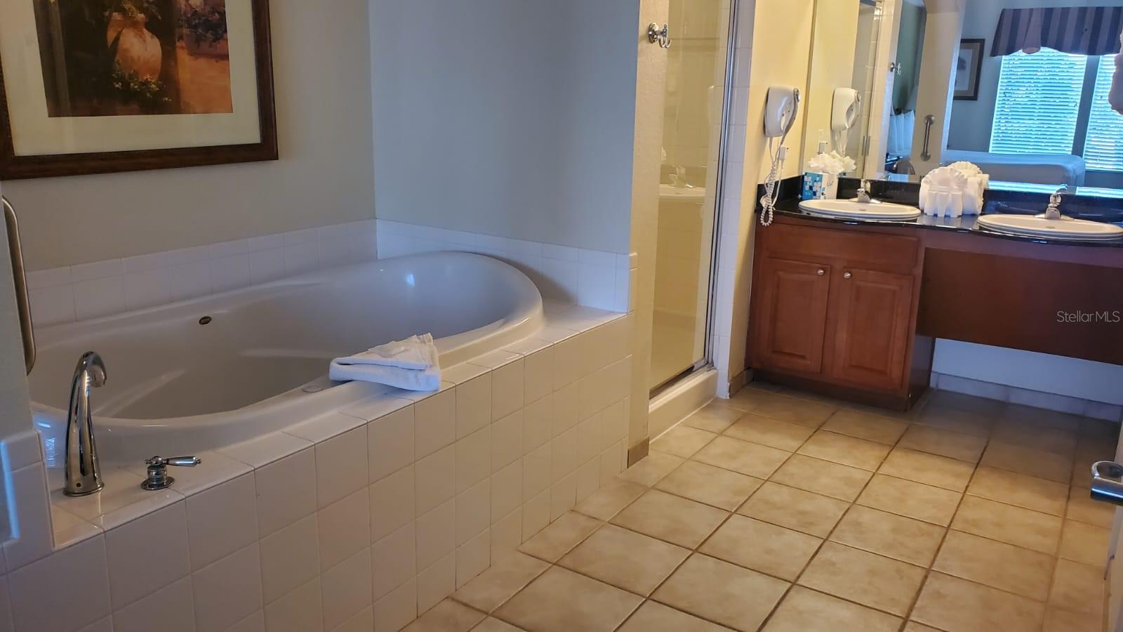 LAKE BUENA VISTA RESIDENCE VILLAGE 02 - Residential
