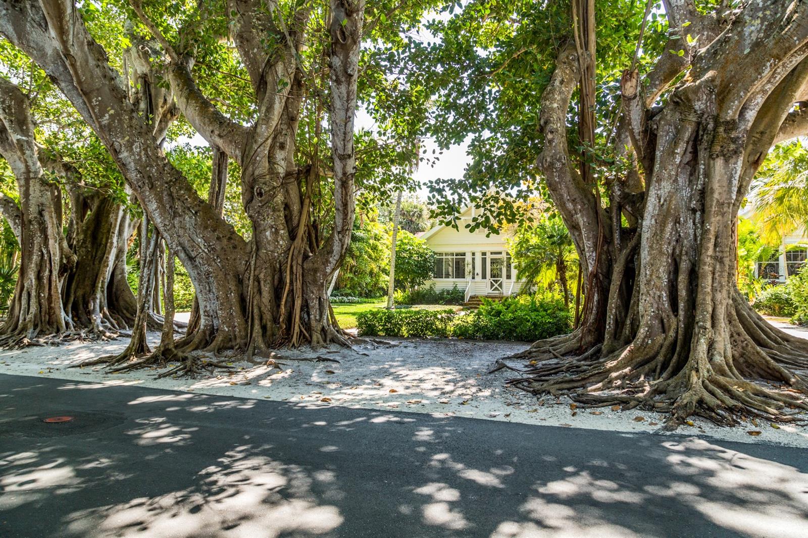 ROTONDA HEIGHTS - Residential