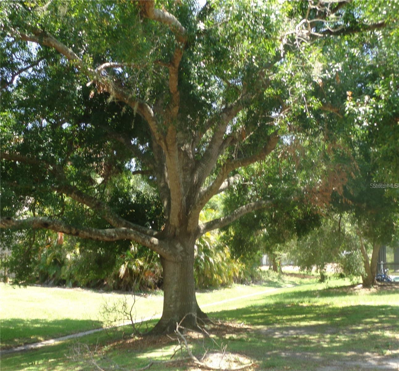 COLONIAL OAKS - Residential