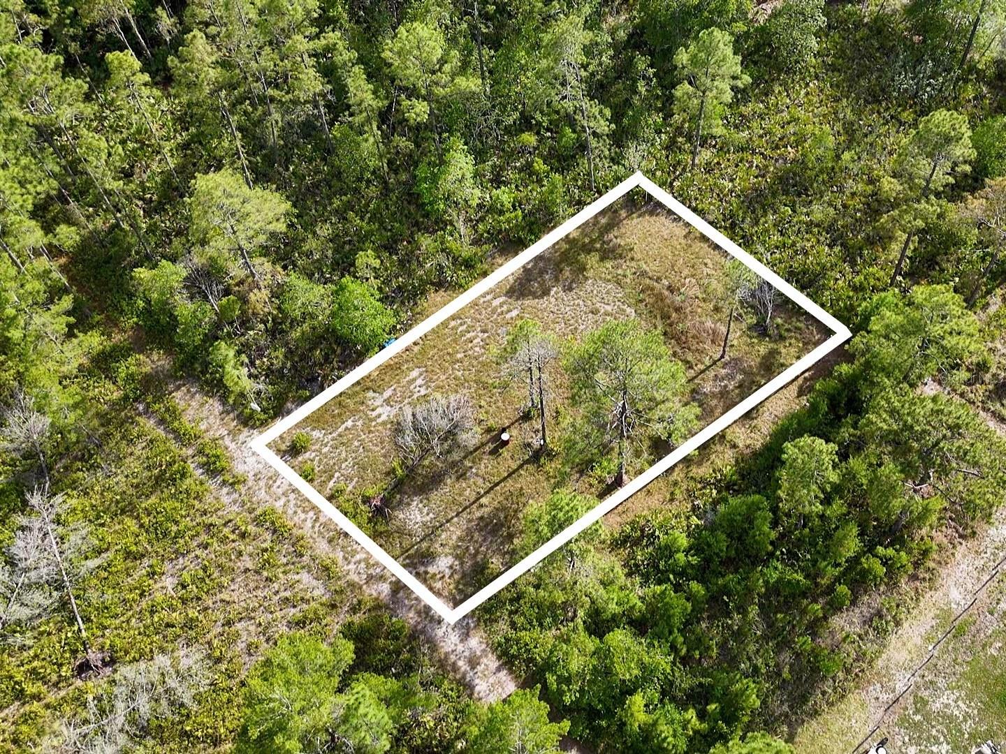 Discover the potential of this 0.17 acre (75x100) residential lot located in the growing Paisley area of Lake County. Zoned R-7 Residential and situated in Flood Zone X, this property offers an opportunity to build a primary residence, seasonal retreat, or investment property while enjoying the peaceful surroundings of Central Florida. No HOA means added flexibility for future plans. Conveniently located near outdoor recreation, lakes, and with access to nearby towns for shopping and daily amenities. Seller indicates additional property information may be available to assist with future development plans. Bring your vision and explore the possibilities this vacant parcel has.