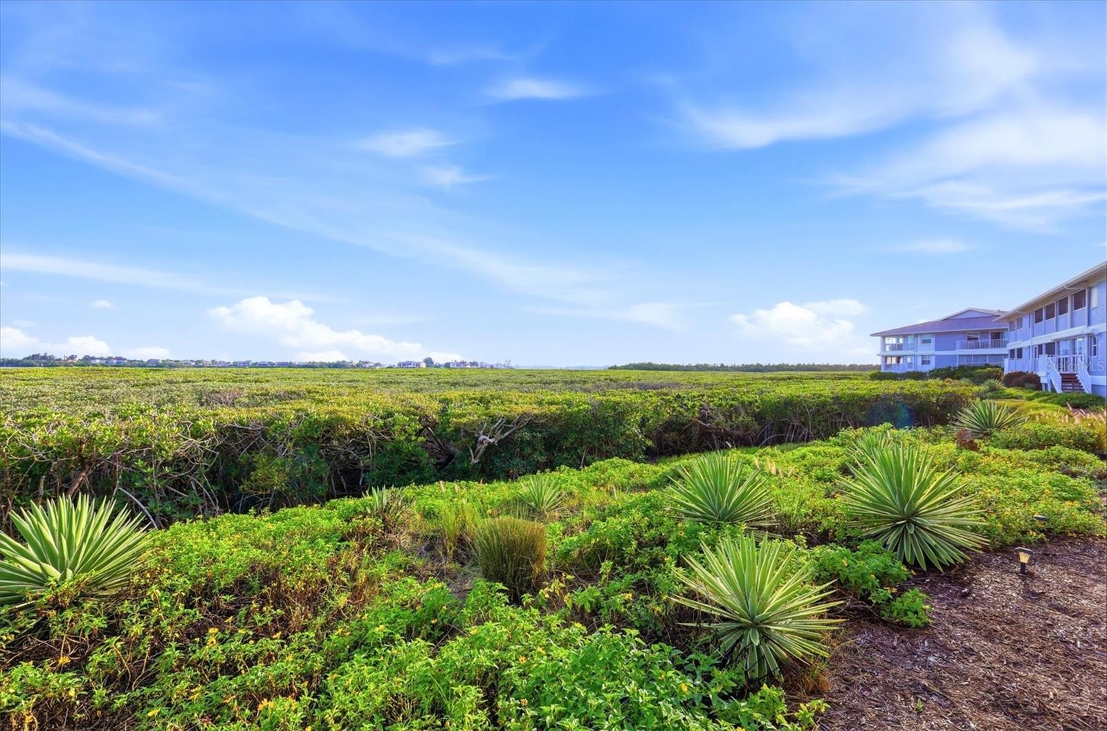 PERICO BAY CLUB - Residential