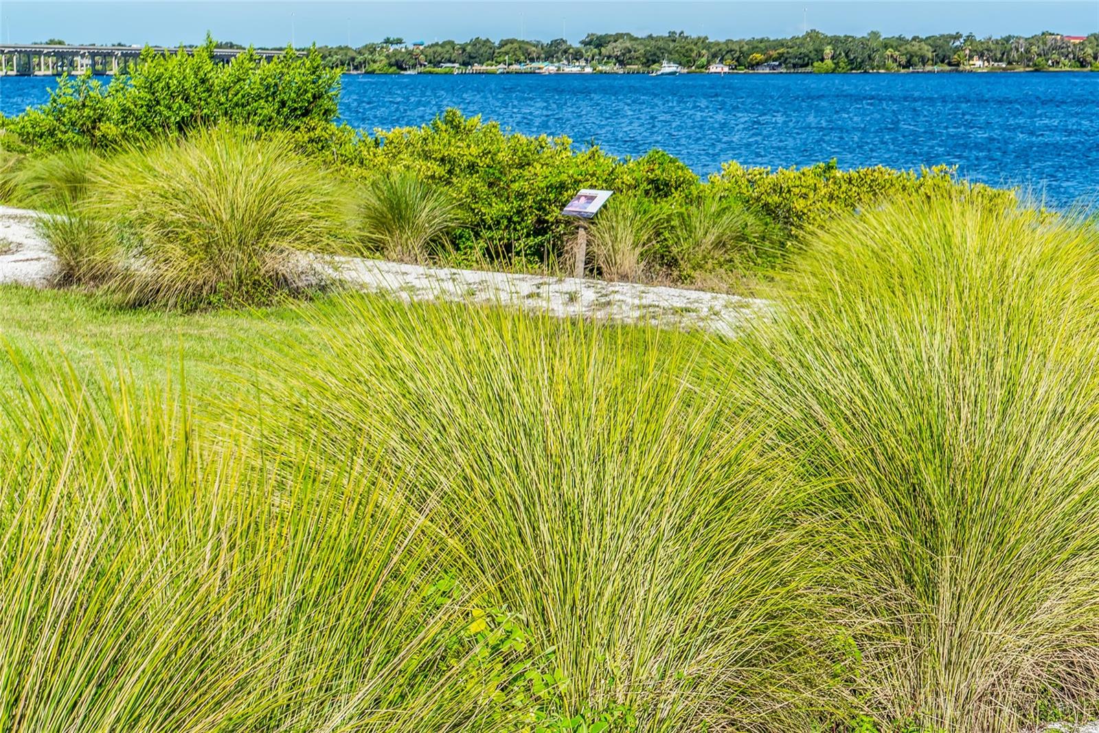 TIDEWATER PRESERVE 4 - Residential