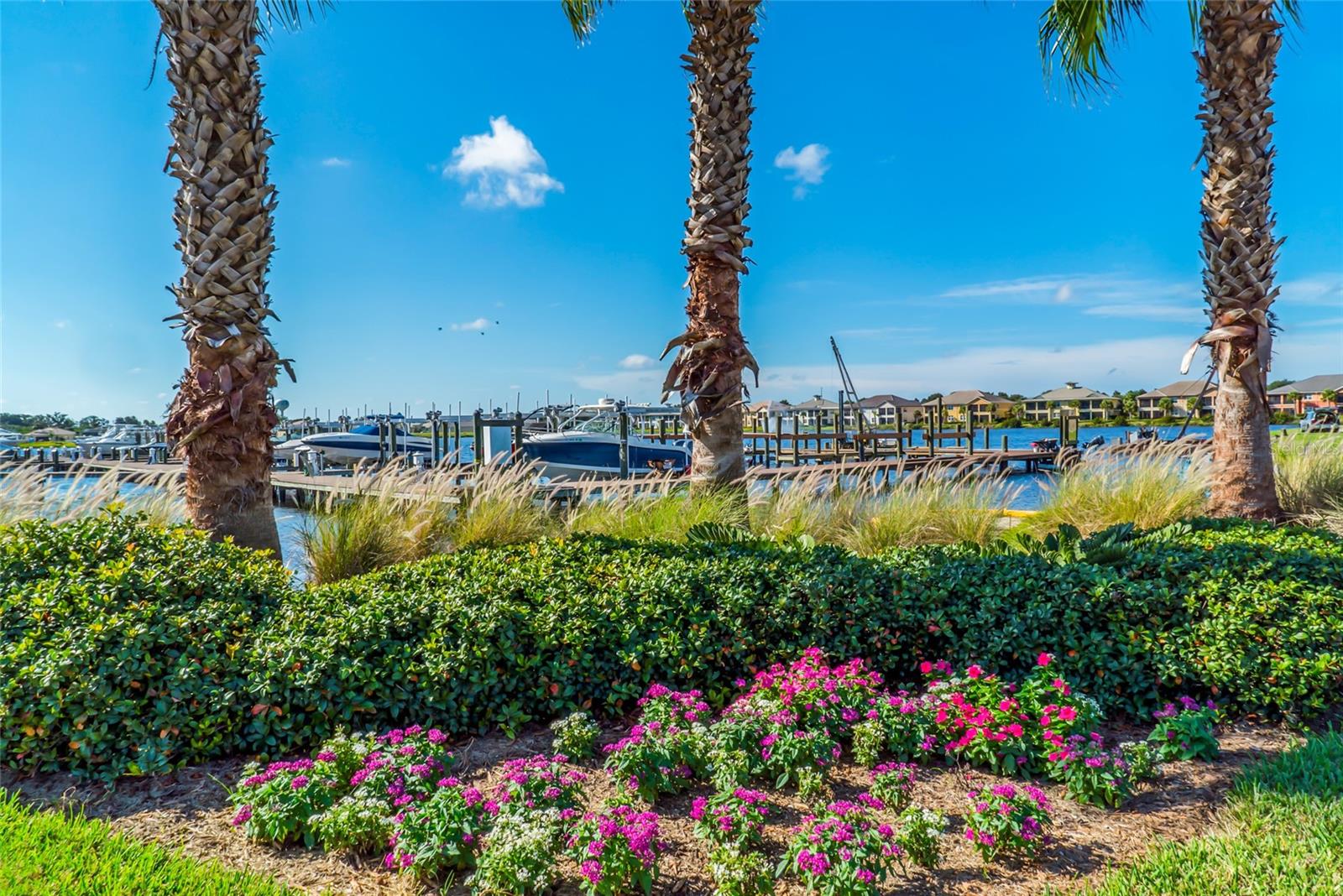 TIDEWATER PRESERVE 4 - Residential