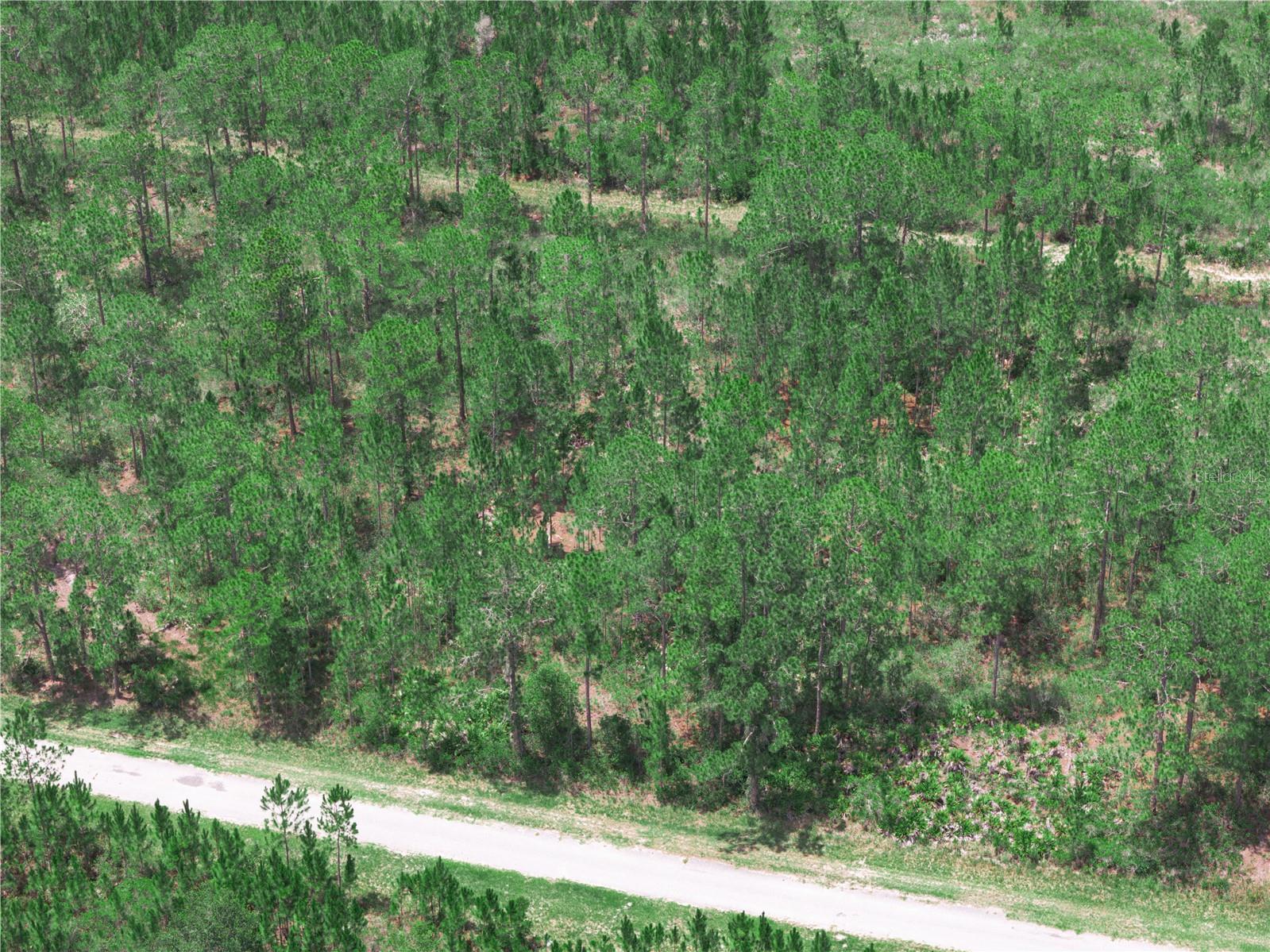 INDIAN LAKE ESTATES - Land