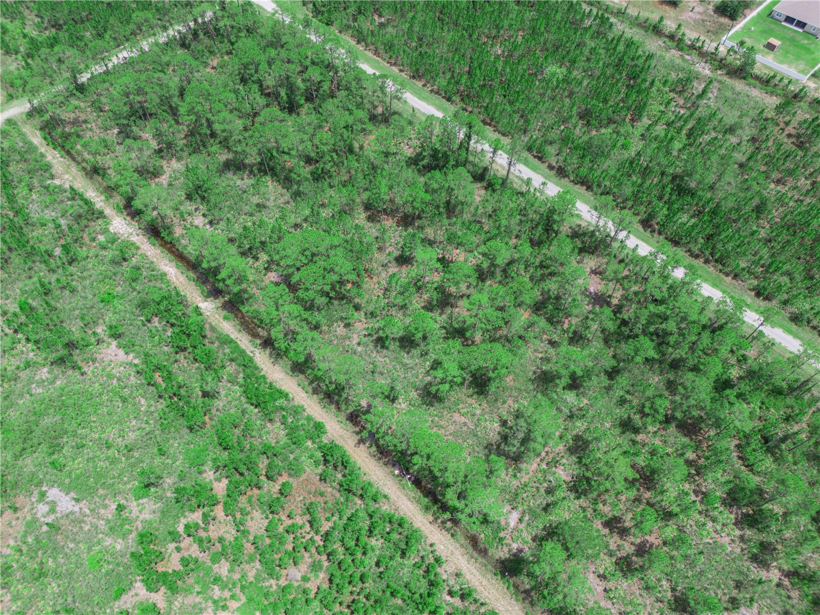 INDIAN LAKE ESTATES - Land
