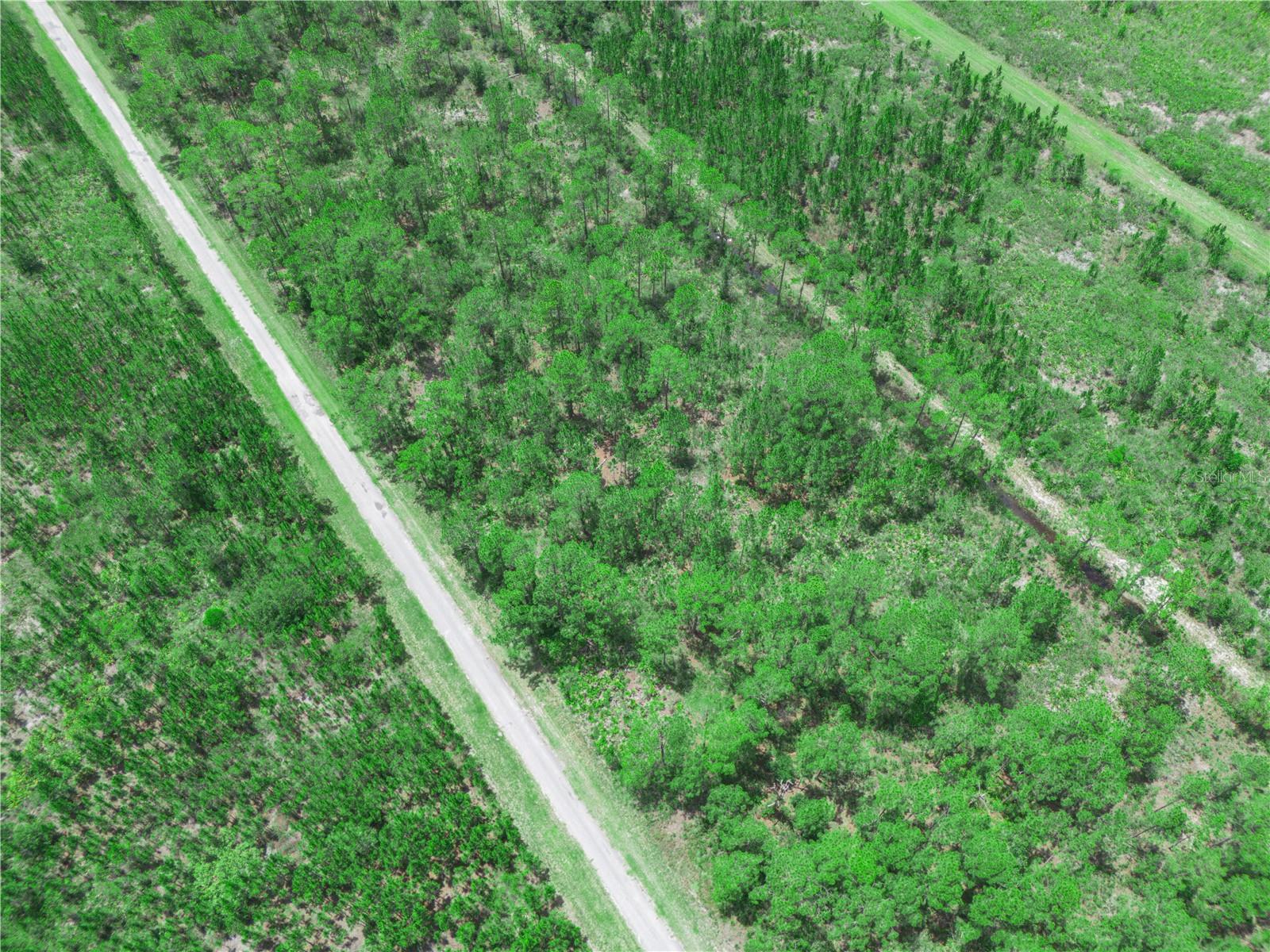 INDIAN LAKE ESTATES - Land