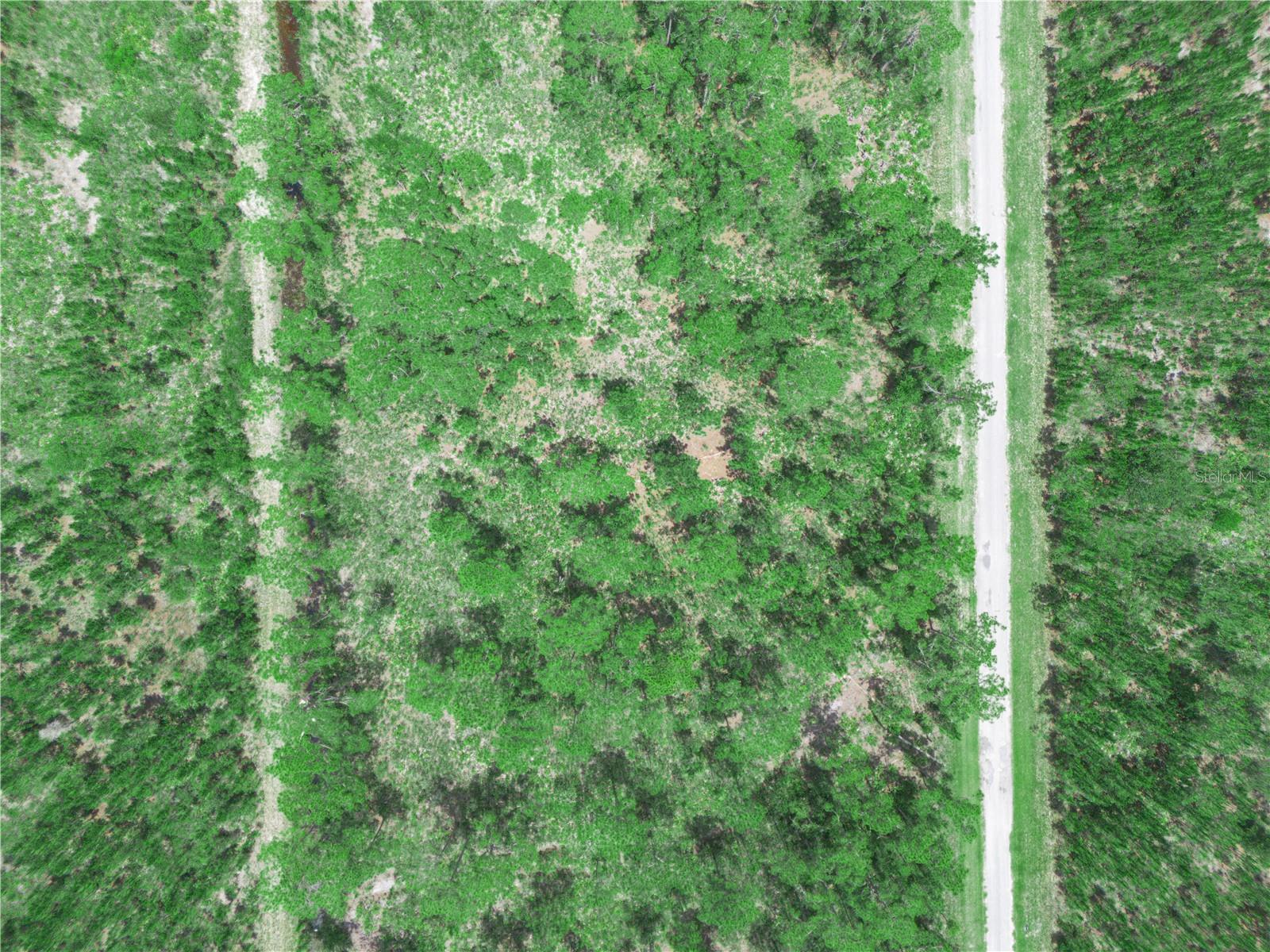INDIAN LAKE ESTATES - Land