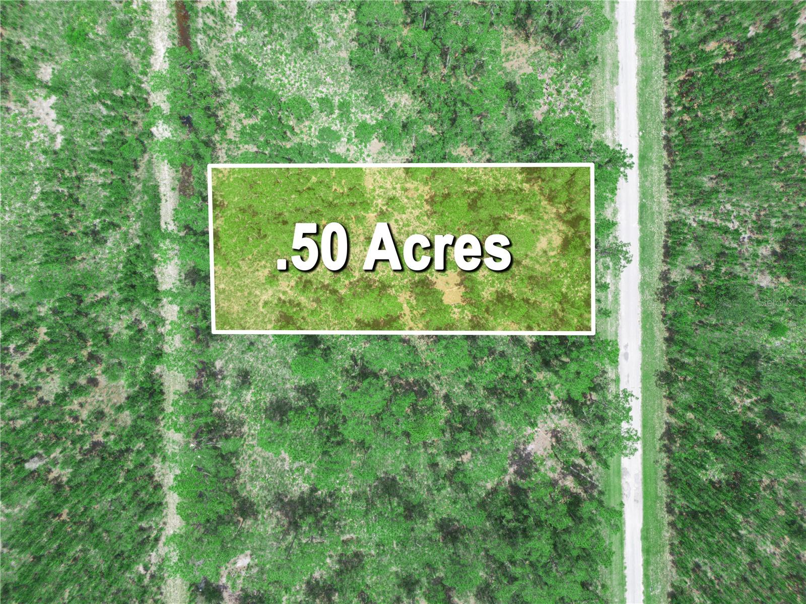 INDIAN LAKE ESTATES - Land