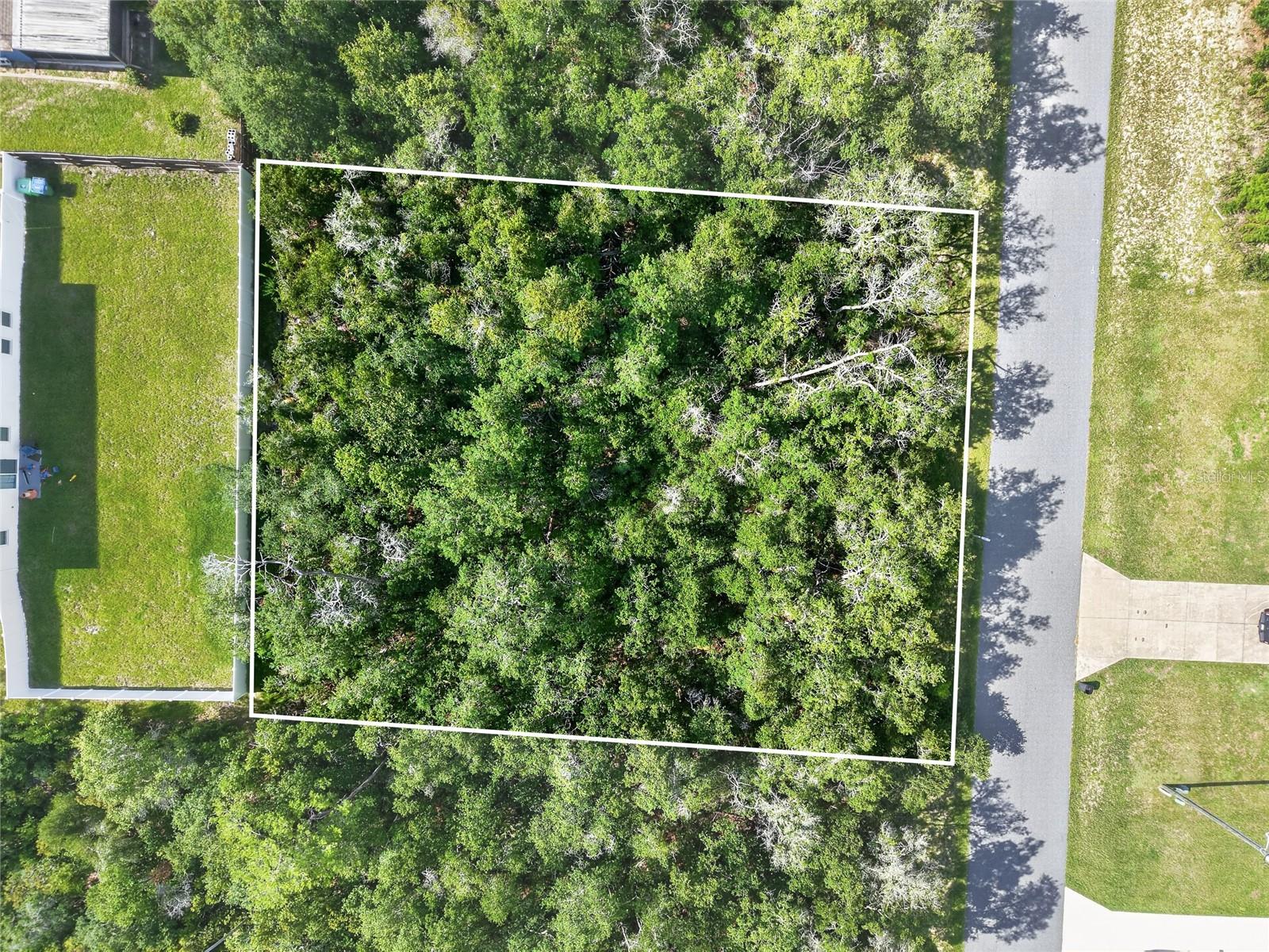 JUMP ON THIS QUICK.  .29 +/- Acres Wooded Lot in the Heart of Marion Oaks.  It is a blank slate and ready for you to build your dream home.  Location is very convenient.  Very close to I-75, shopping, restaurants, etc.  Don’t miss out!