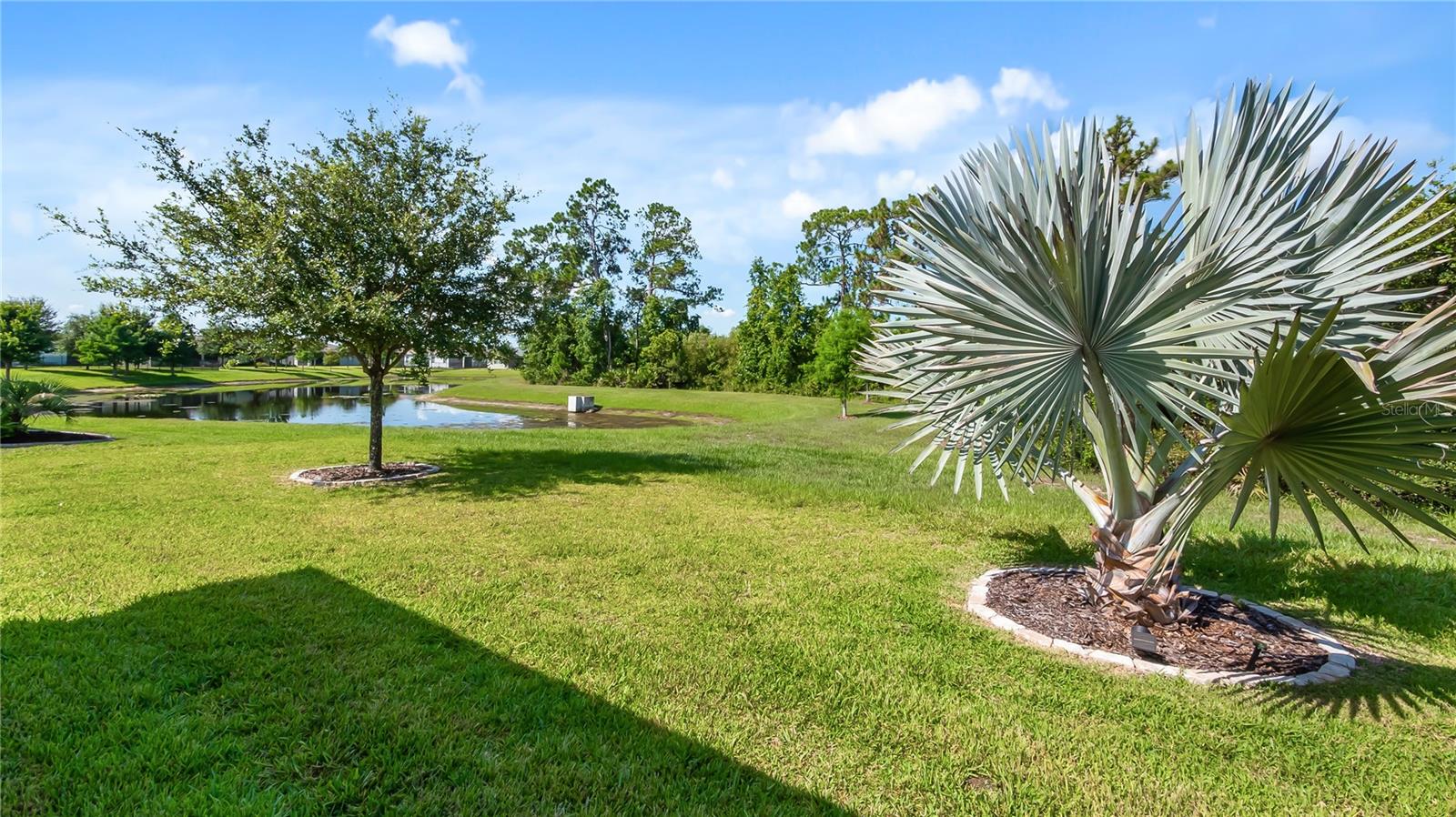 PALMS SERENOA - Residential